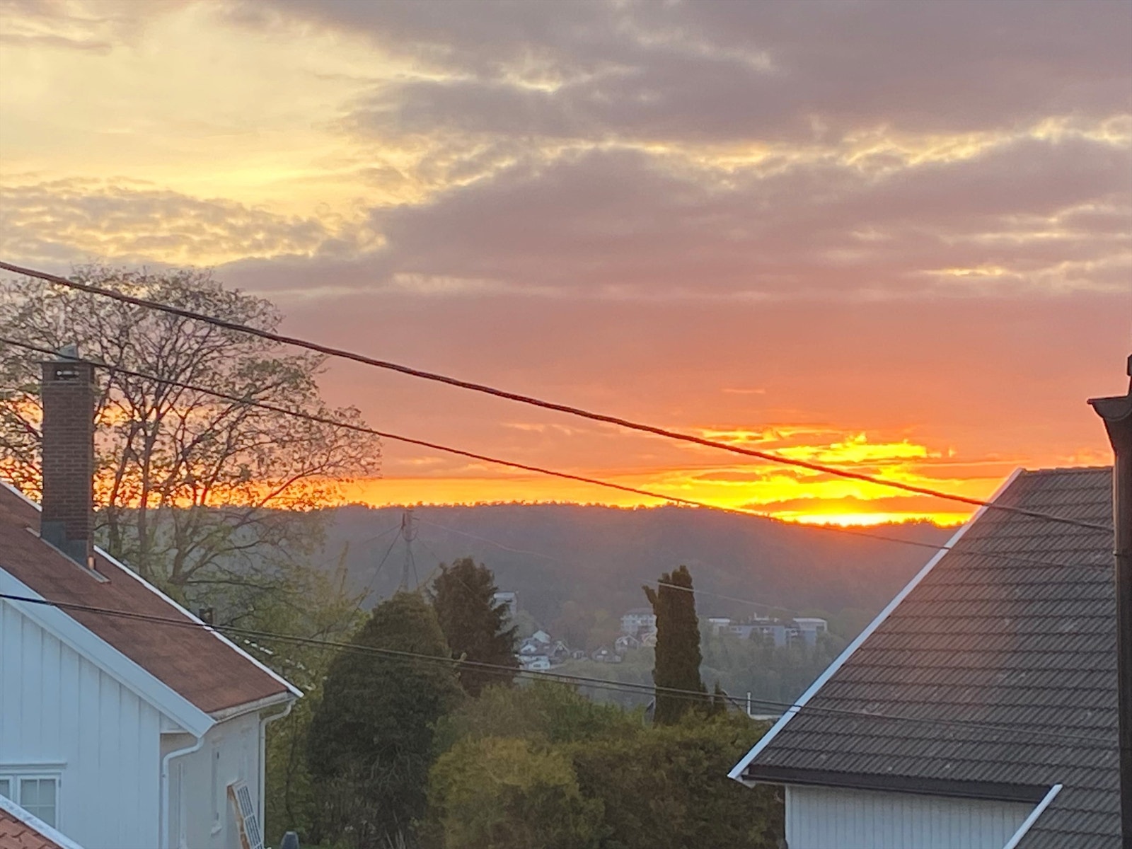 Kvelsbilde tatt av selger Galleribilde