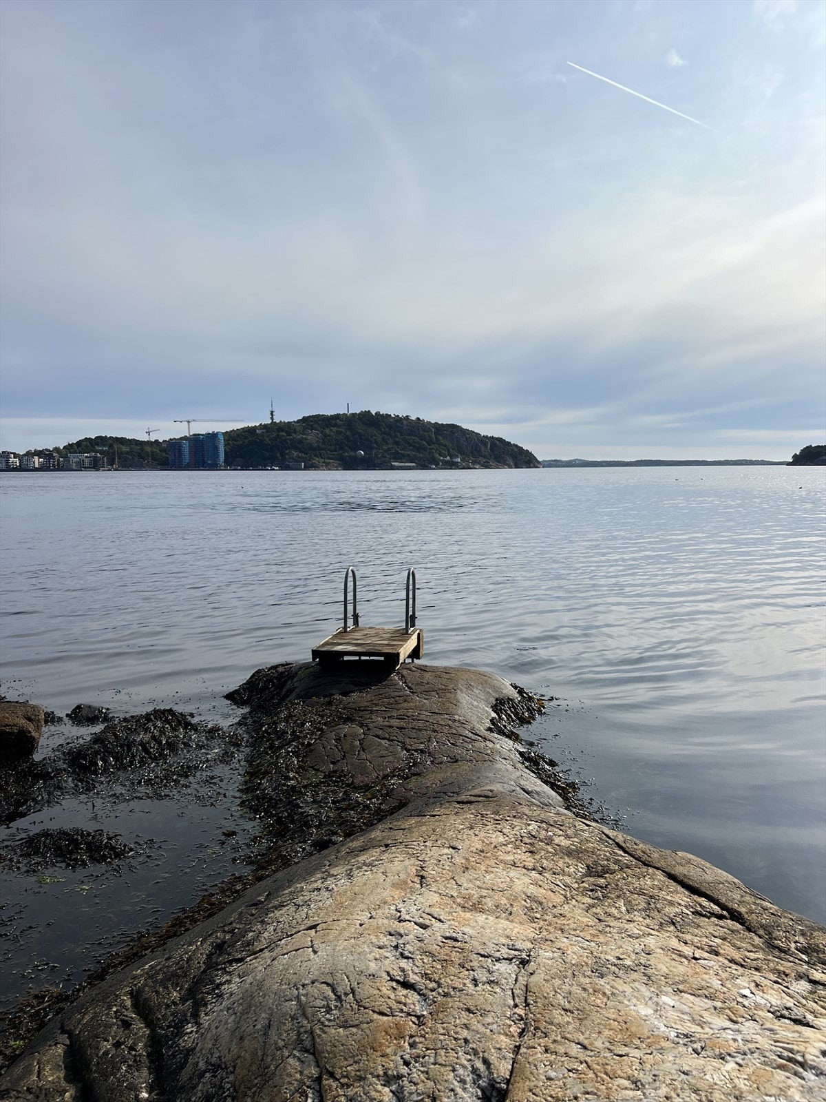 Nærområdet. Galleribilde