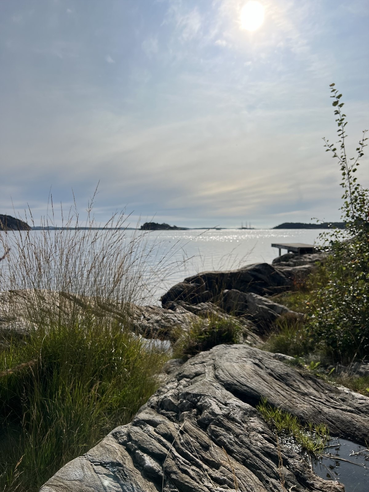 Nærområdet. Galleribilde