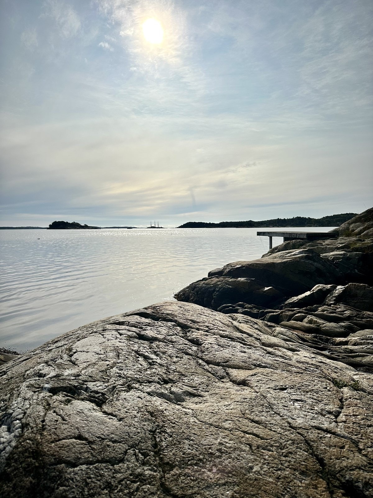 Nærområdet. Galleribilde