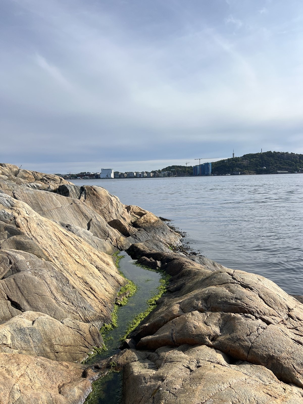 Nærområdet. Galleribilde