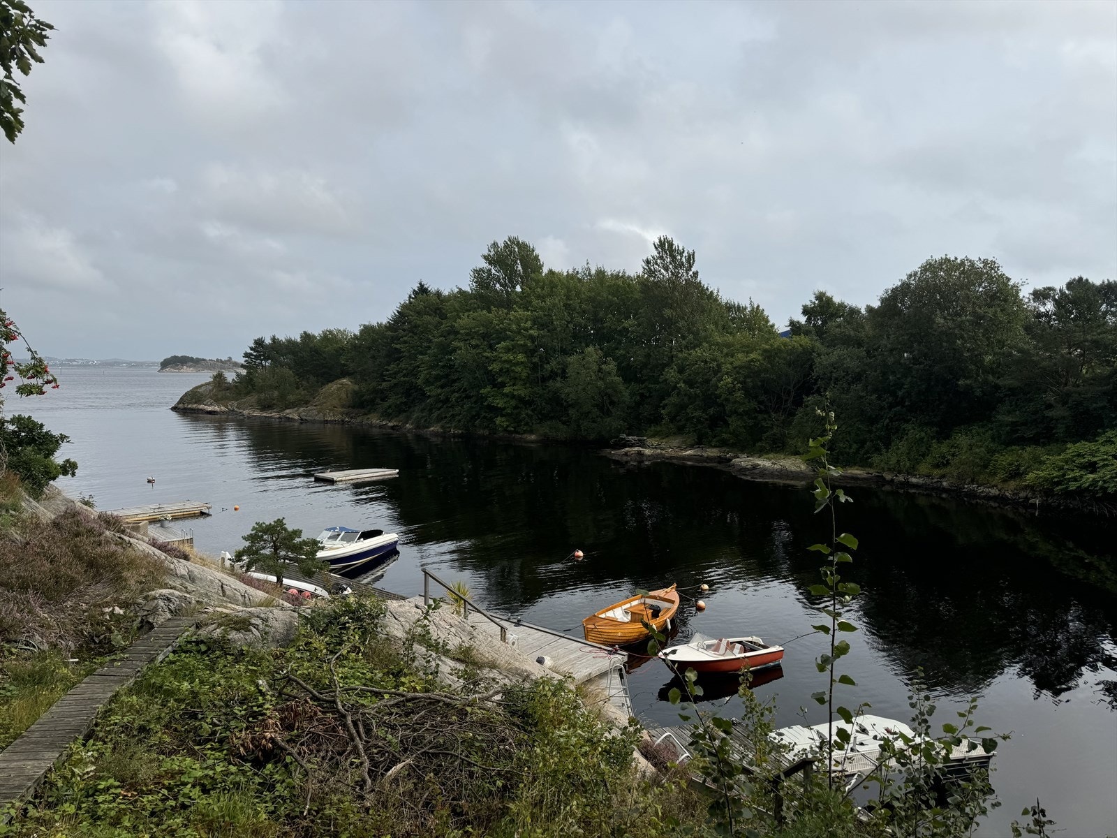 Nærområdet Galleribilde