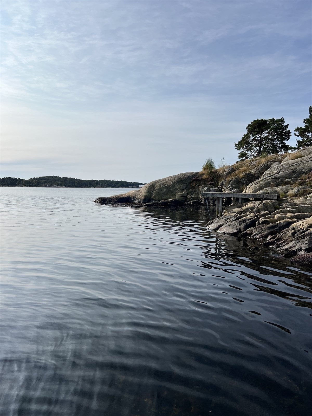 Nærområdet. Galleribilde