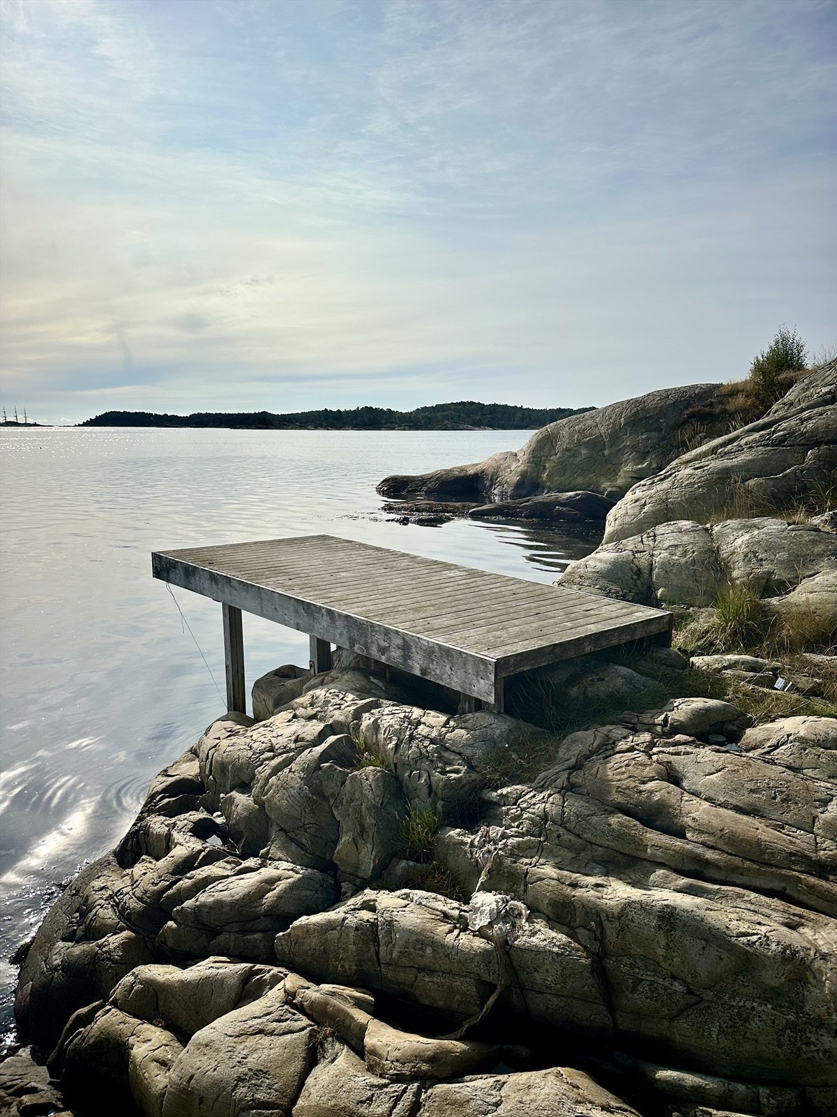 Nærområdet. Galleribilde