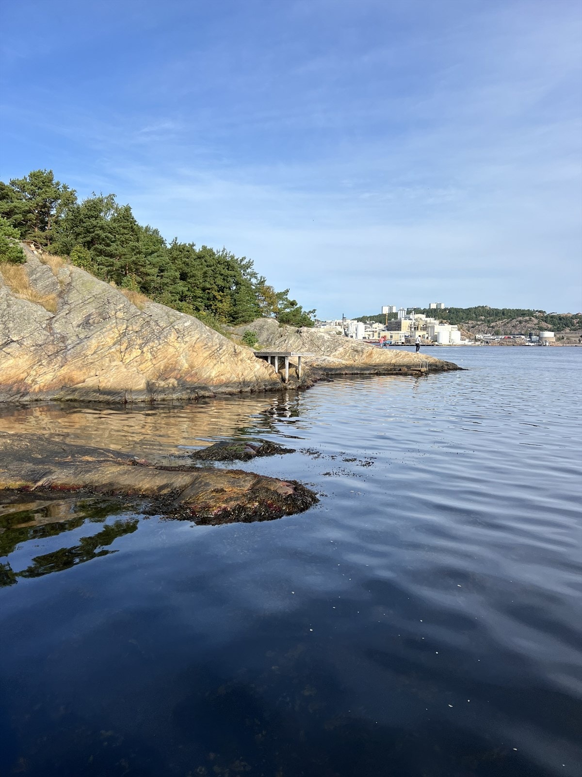 Nærområdet. Galleribilde