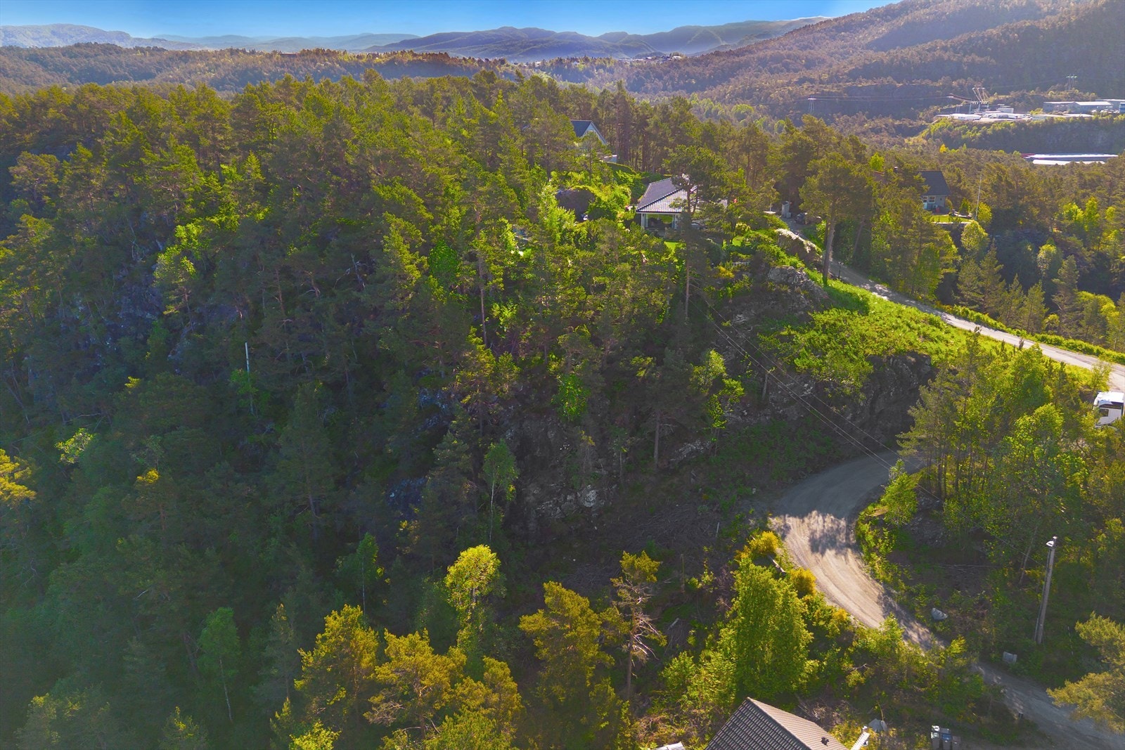 Naturskjønn tomt med frodig skog og flott utsikt Galleribilde