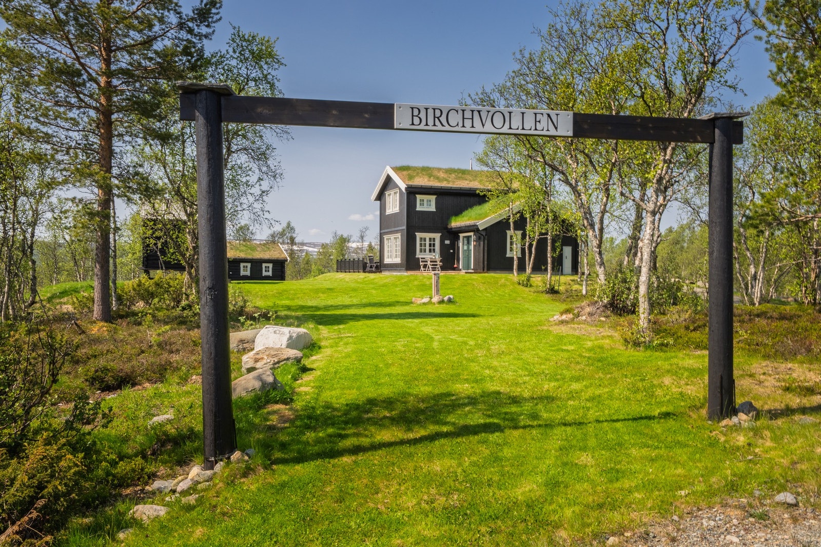 Sommerbilde. Galleribilde