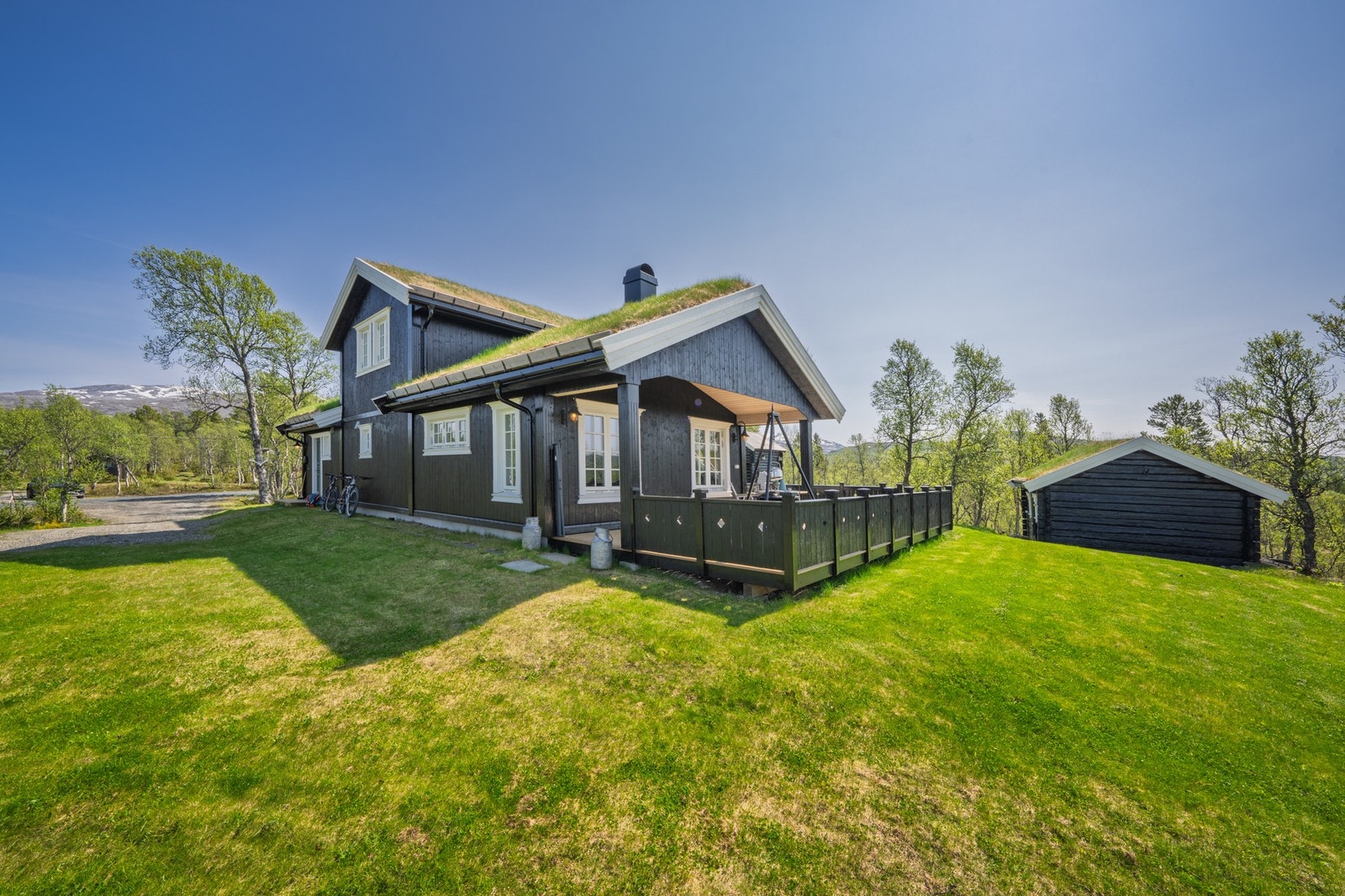 Sommerbilde. Galleribilde