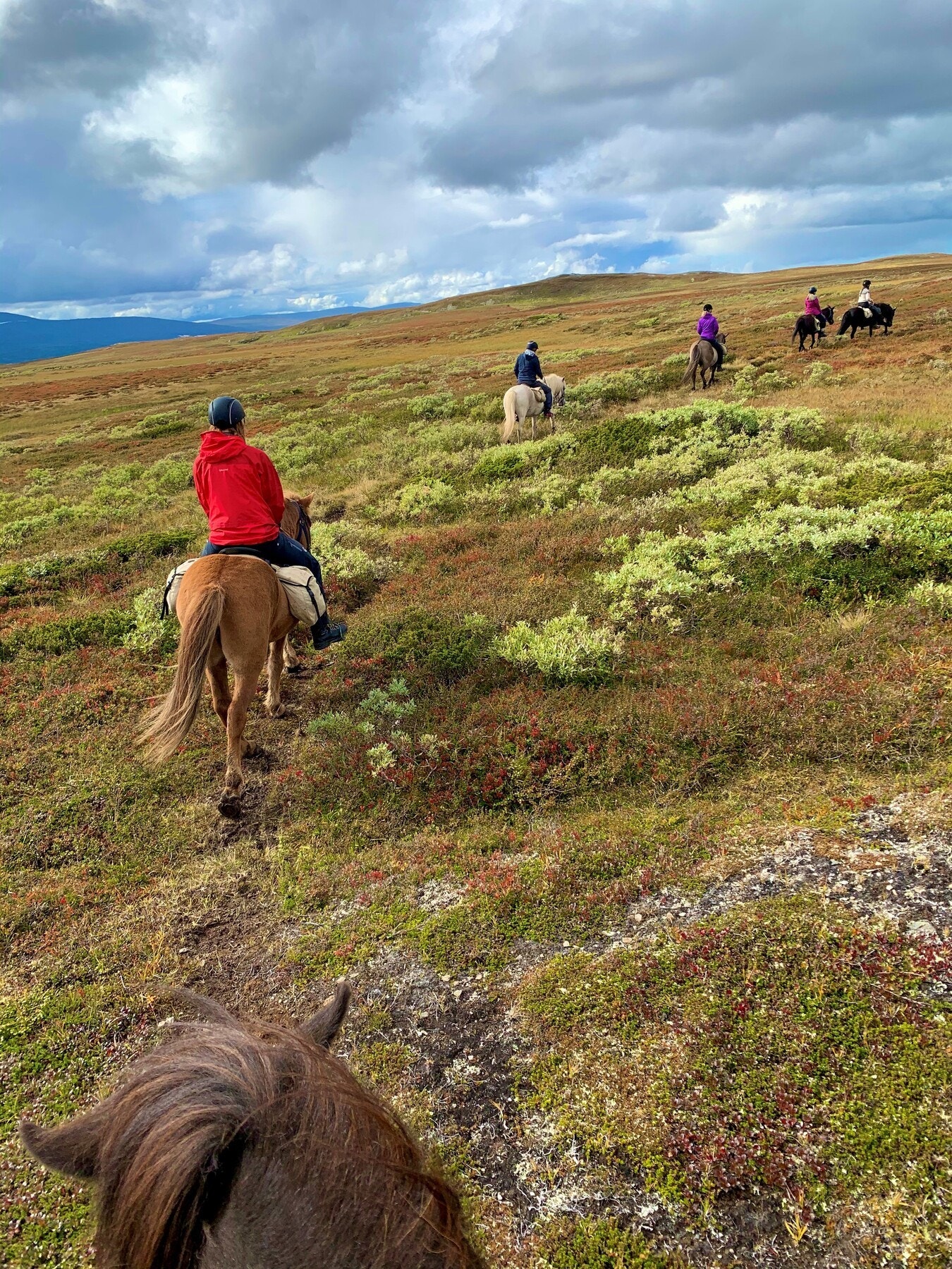 Selgers privatfoto. Galleribilde