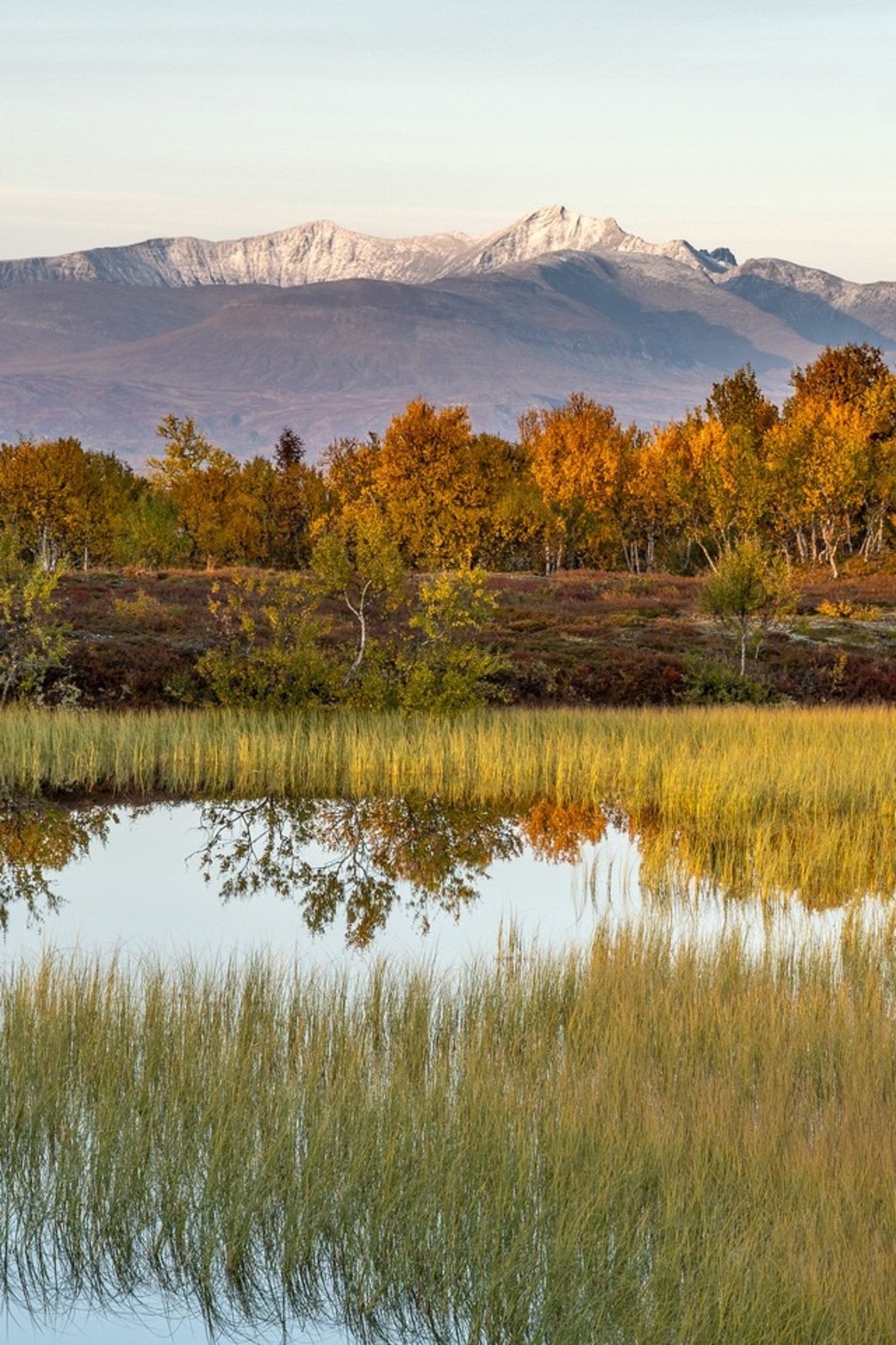 Selgers privatfoto av Sylan. Galleribilde