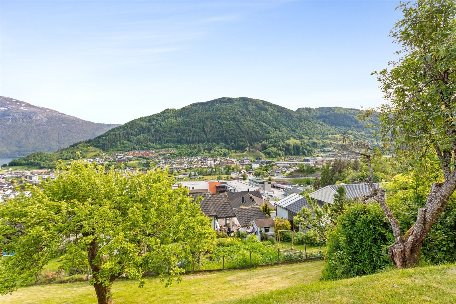 I hagen er det god boltreplass til mykje leik og moro. Galleribilde