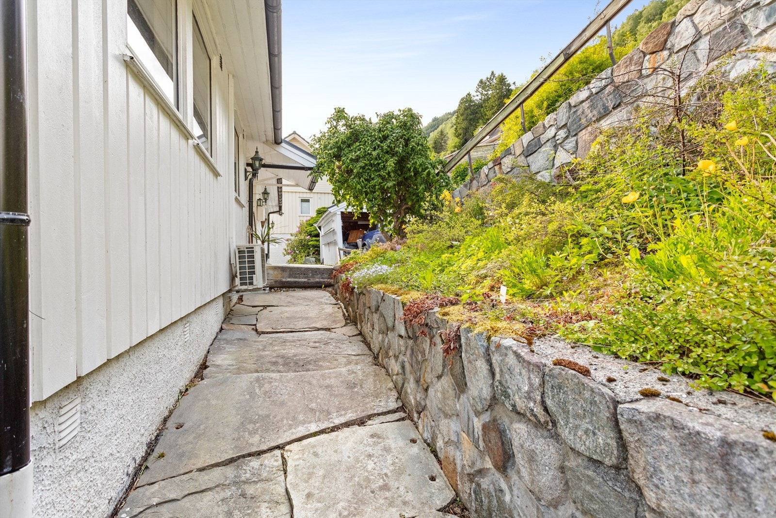 Gangveg lagt med steinheller. Galleribilde