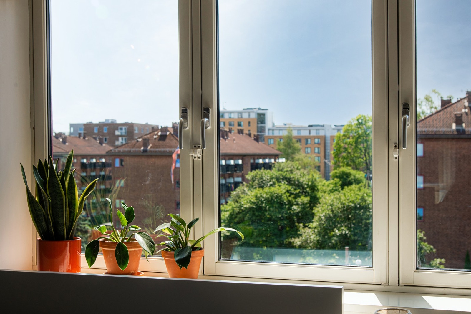 Et stort vindu slipper inn rikelig med naturlig lys og gir et fint utsyn mot grønne og rolige fellesområder. Galleribilde