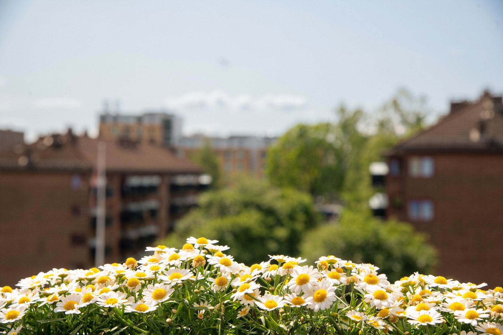 Det er plass til en liten sittegruppe, perfekt for morgenkaffen, rolige ettermiddager eller hyggelige sommerkvelder. Galleribilde