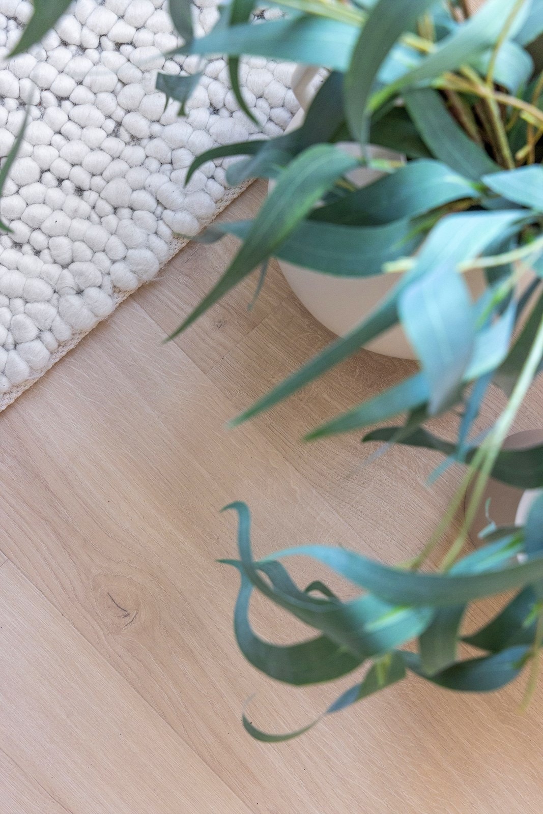 - Det er lagt moderne laminatgulv i hele leiligheten - Galleribilde