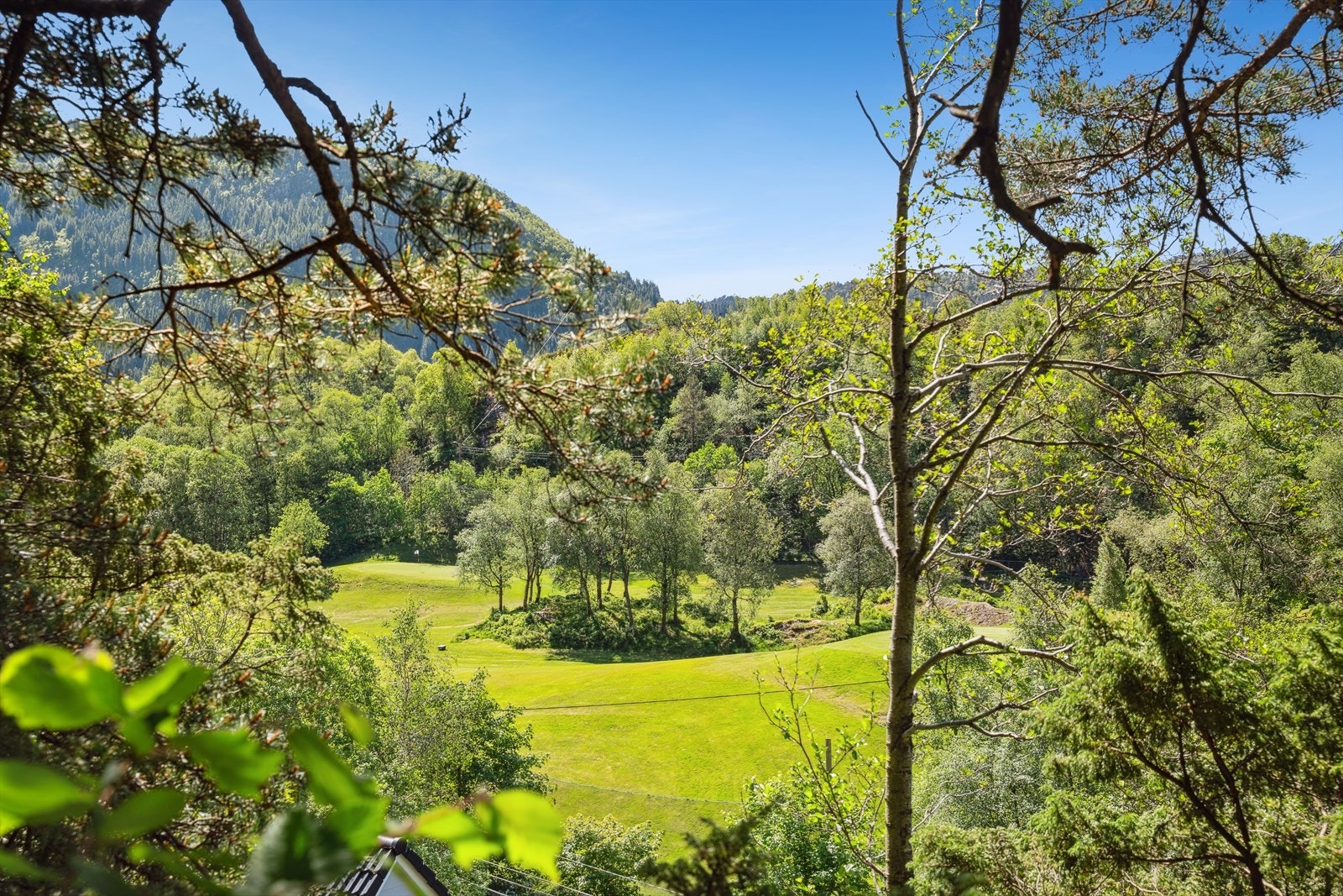 Flott utsikt, her mot golfbanen Galleribilde