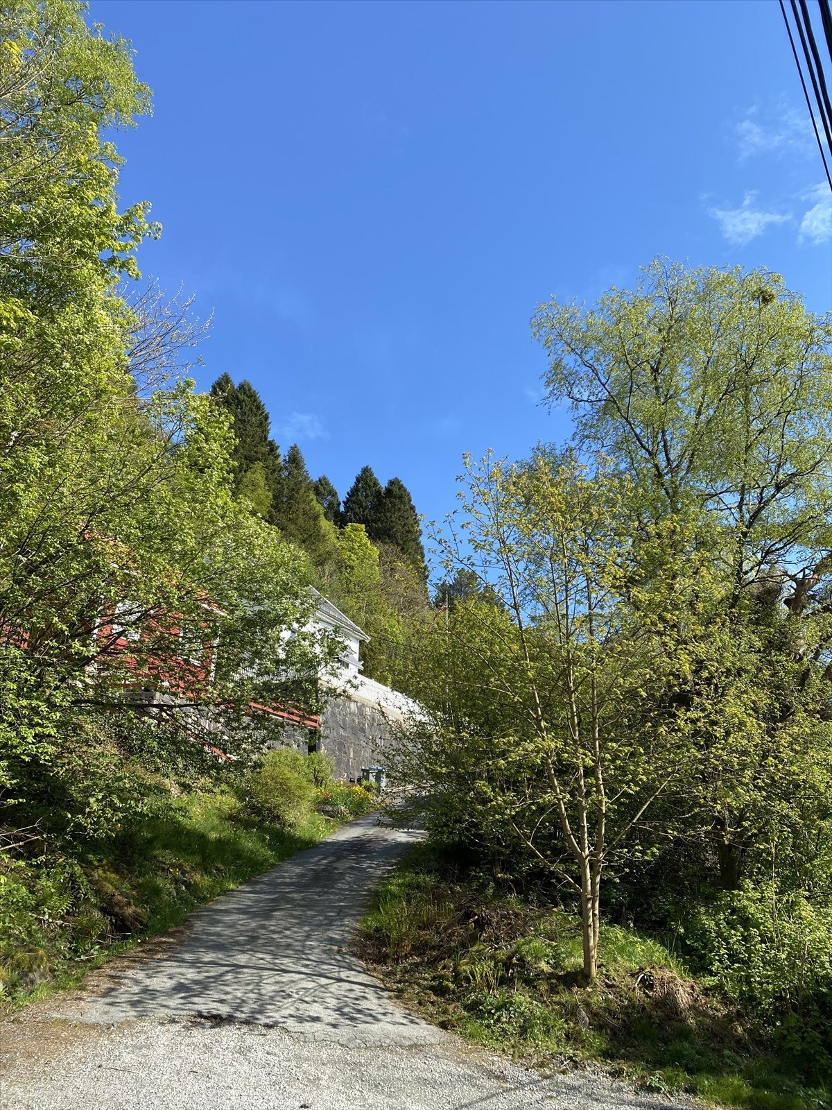 Adkomst opp til tomten. Galleribilde