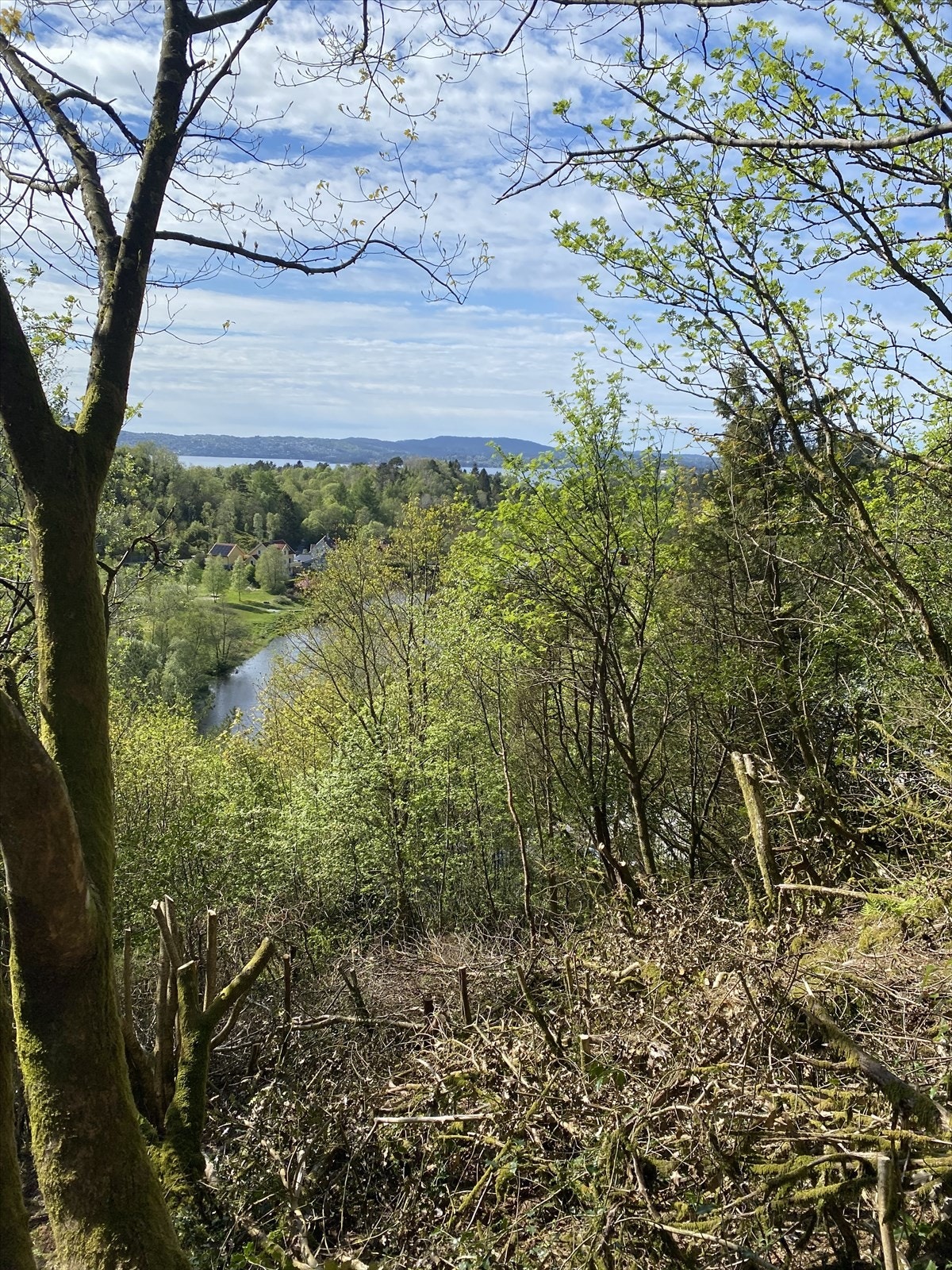 Sentral, men landlig beliggenhet med flott utsikt. Galleribilde