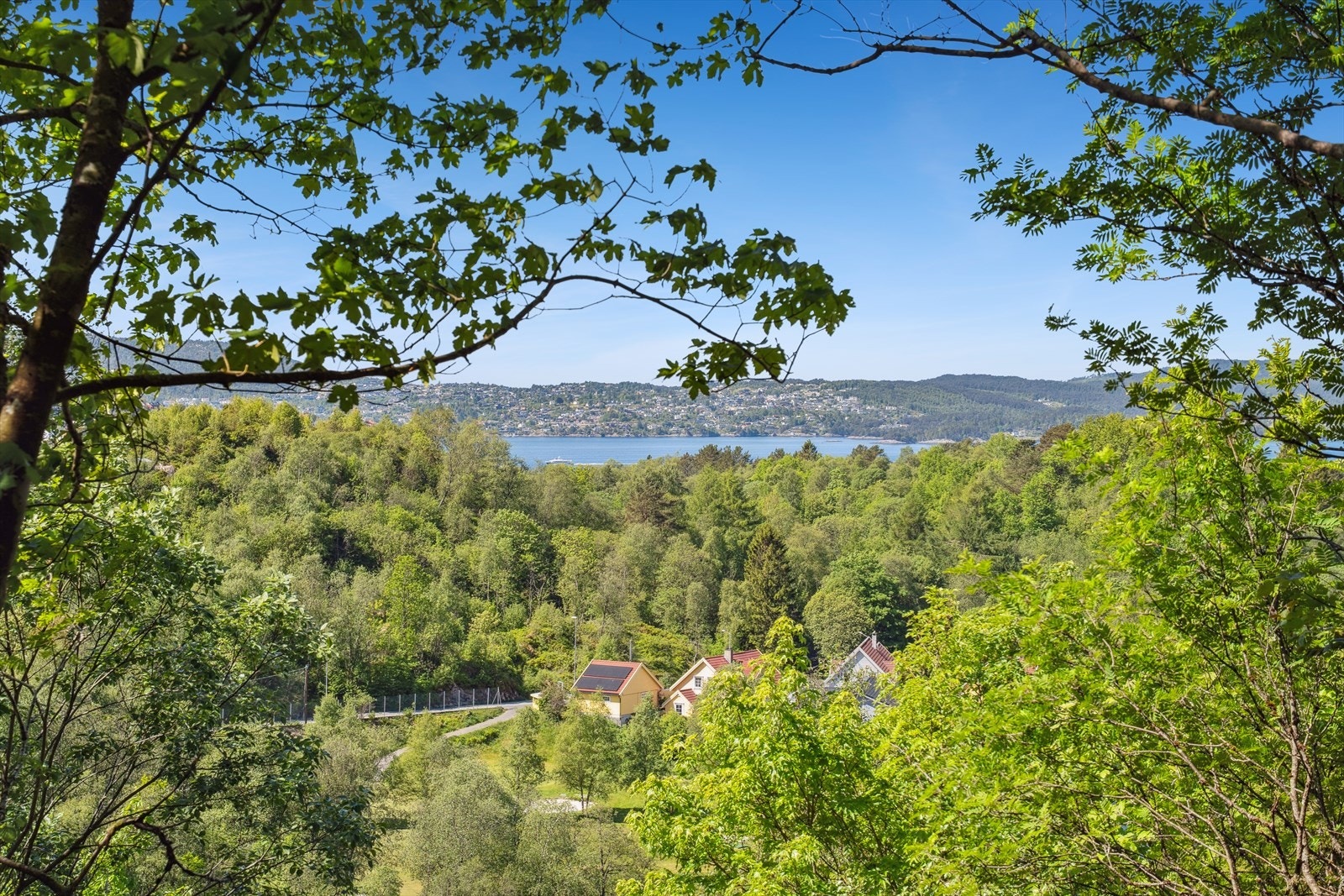 Fra øvre del av tomten ser man til byfjorden Galleribilde