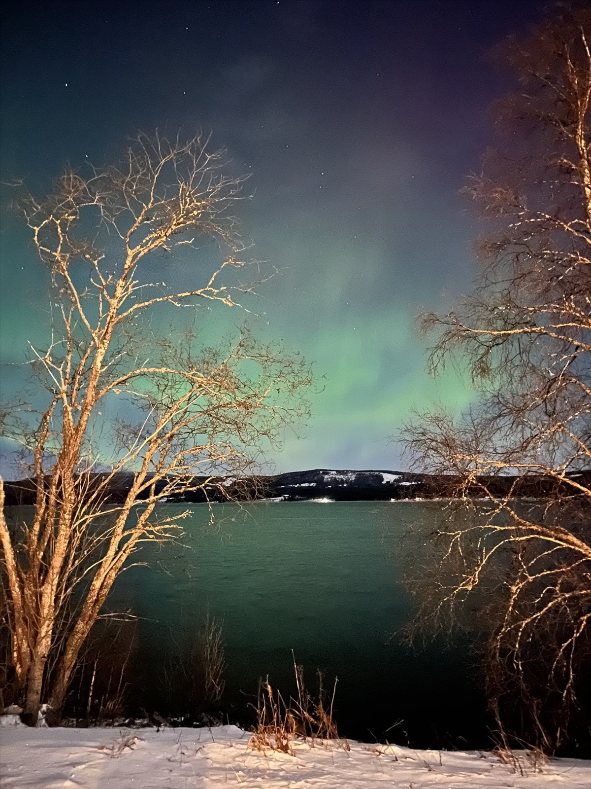 Nordlys. Privat bilde Galleribilde