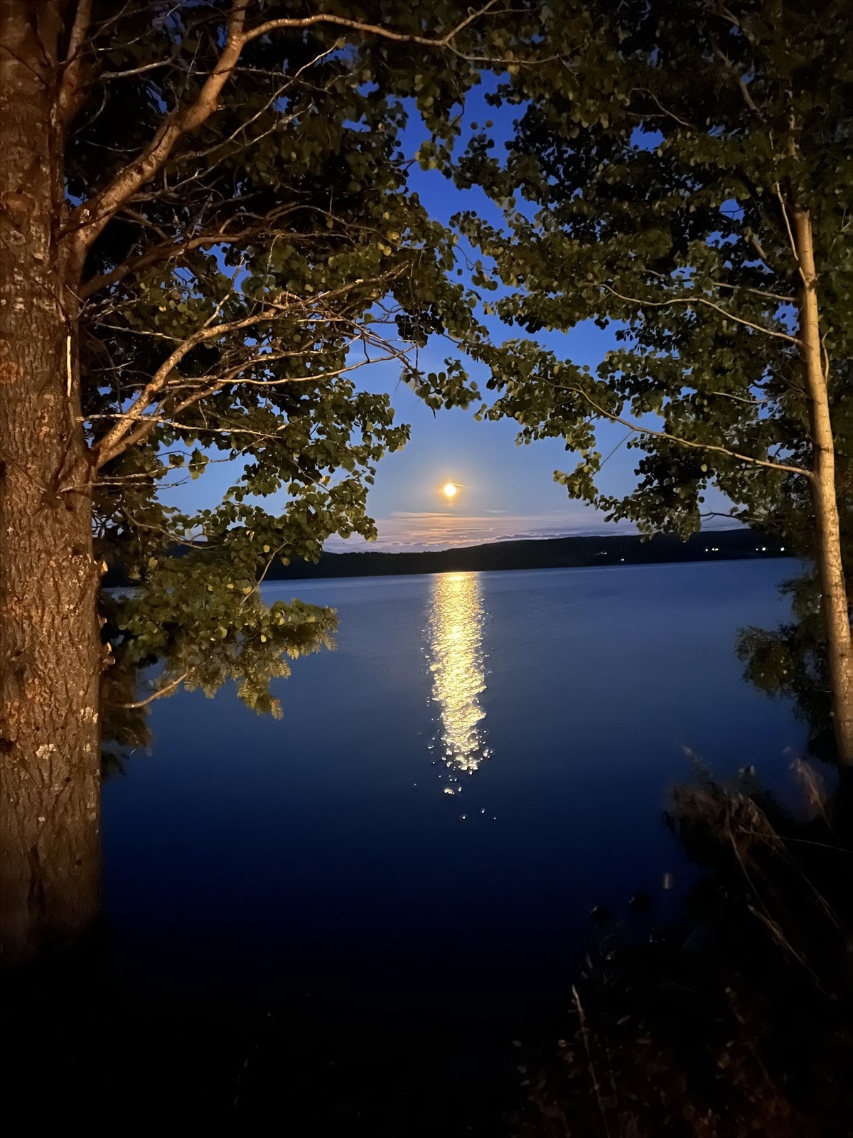 Som et Munch-maleri! Privat bilde. Galleribilde