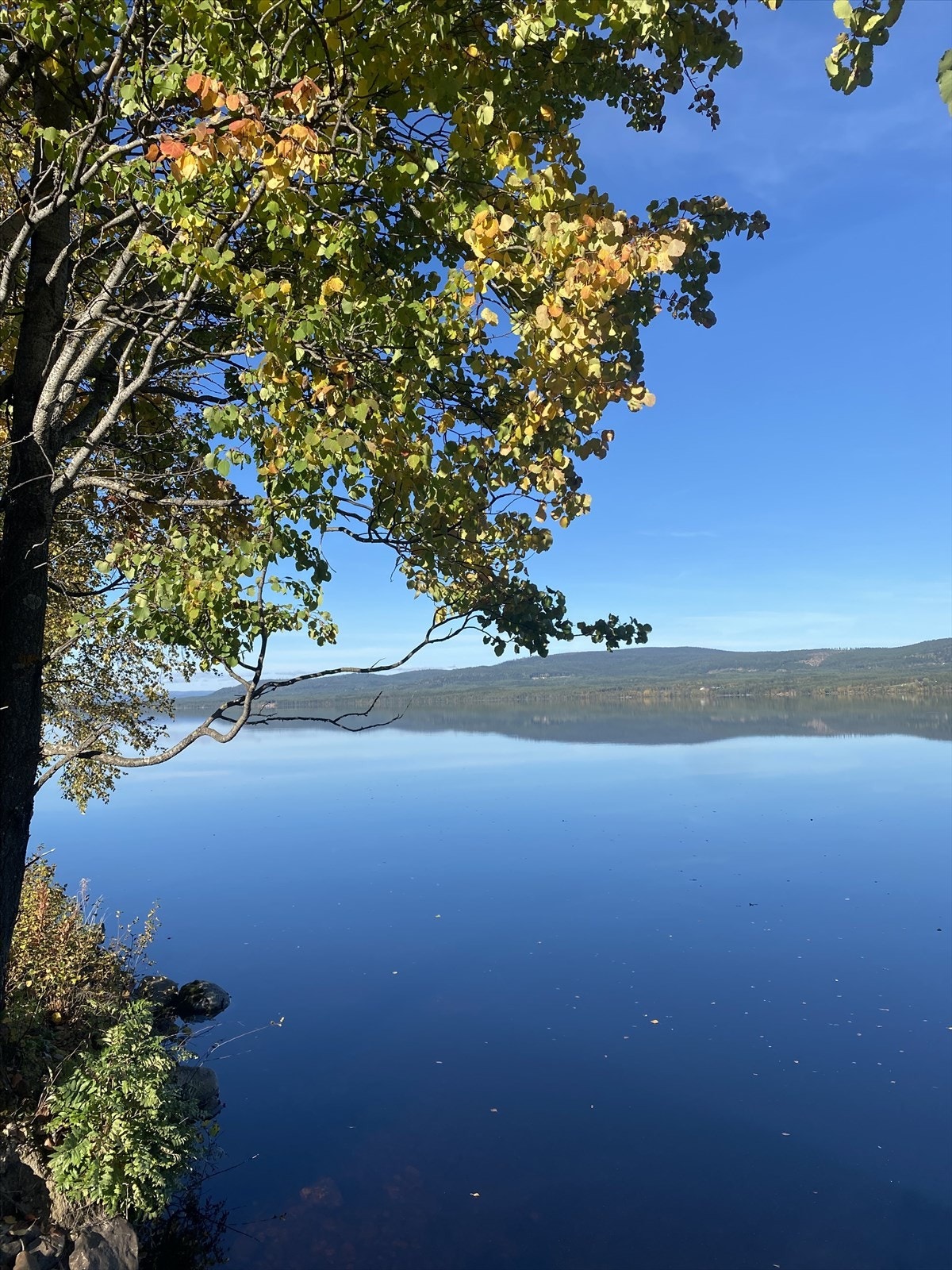 Privat bilde Galleribilde