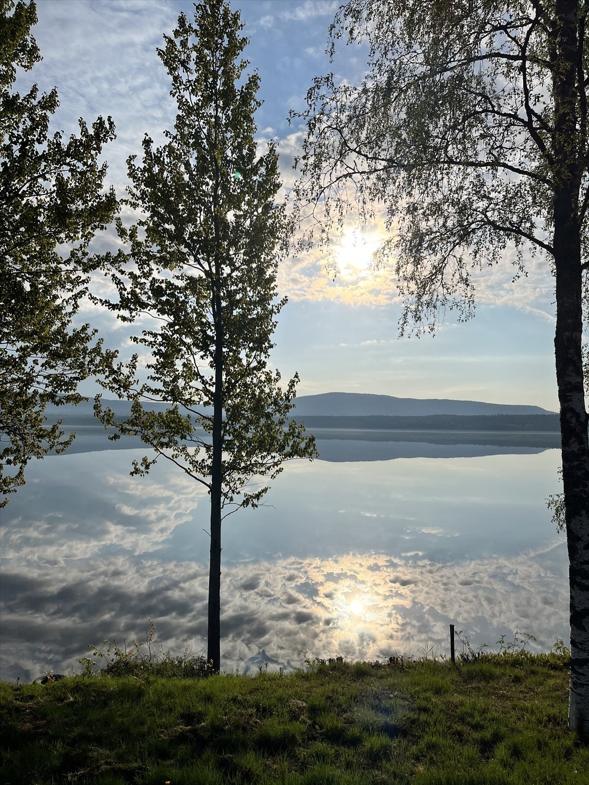 Privat bilde Galleribilde