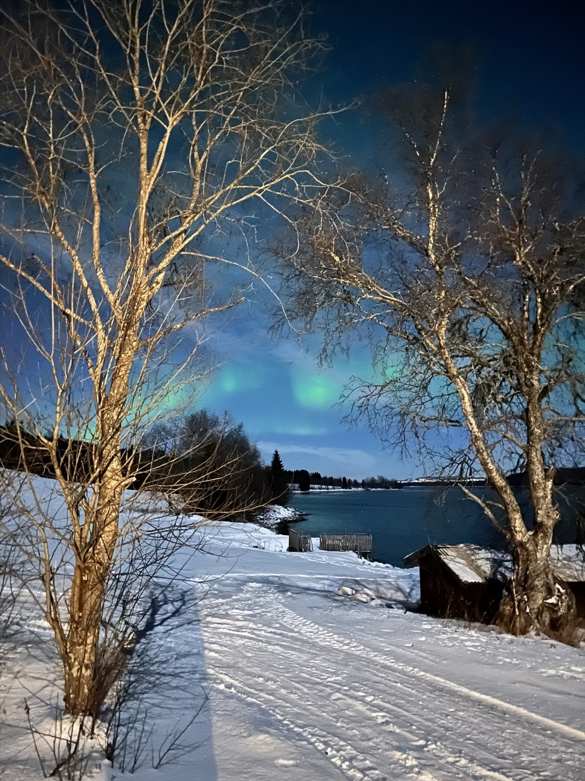 Nordlys. Privat bilde. Galleribilde