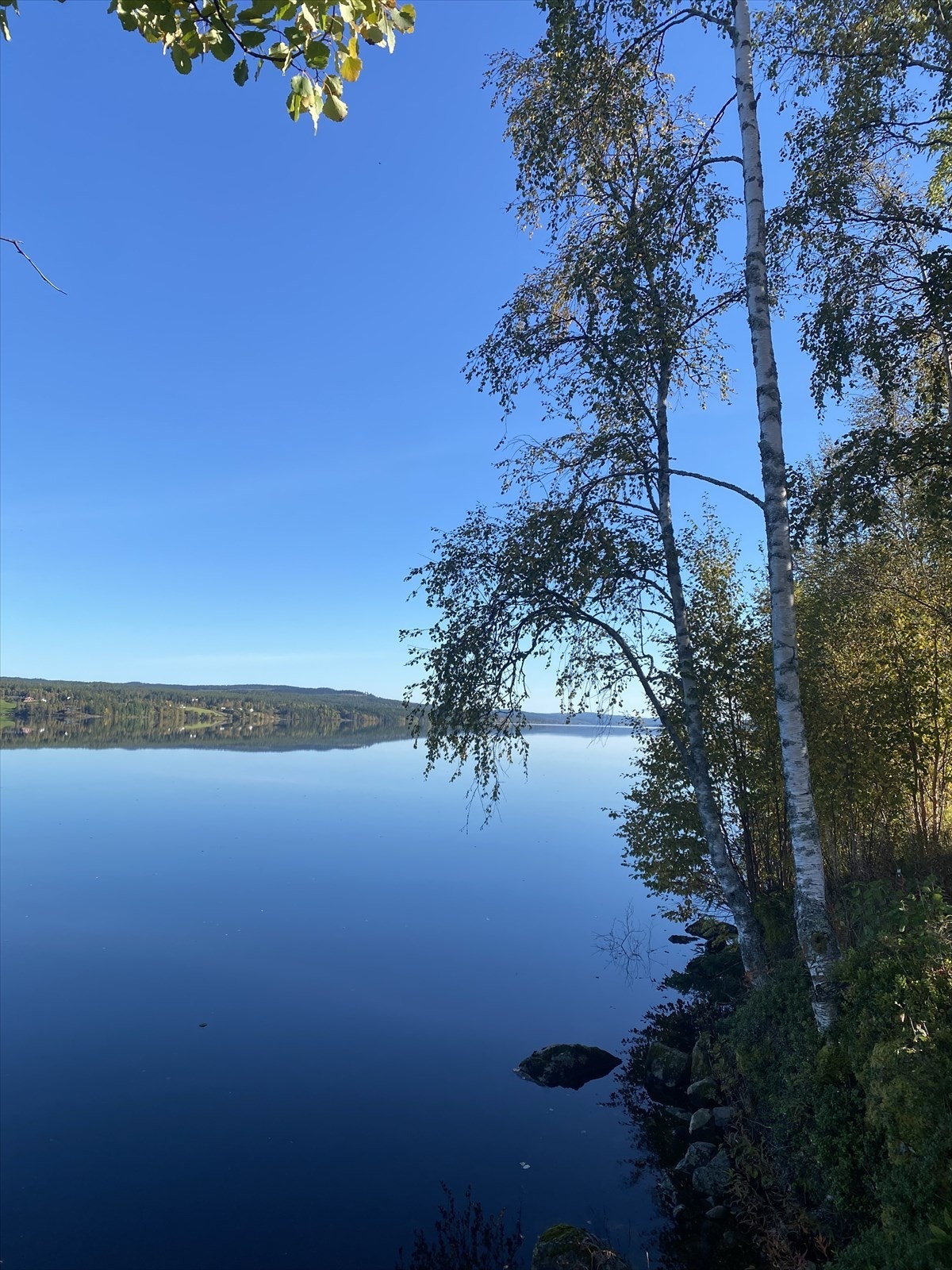 Privat bilde Galleribilde