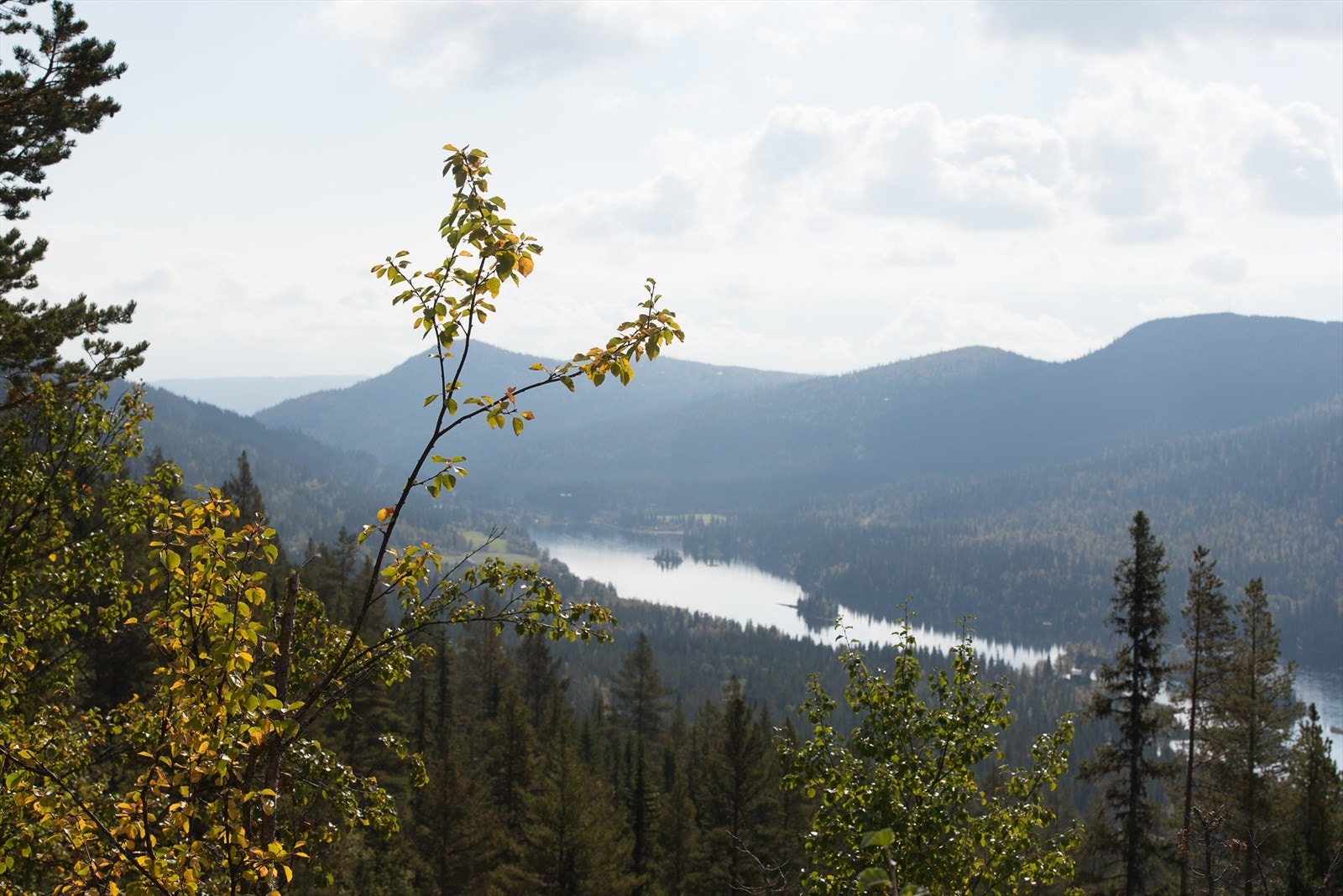 Espedalen er et er et populært og rolig turistområde som kan by på et varierende fjellterreng med flere fritidsaktiviteter Galleribilde