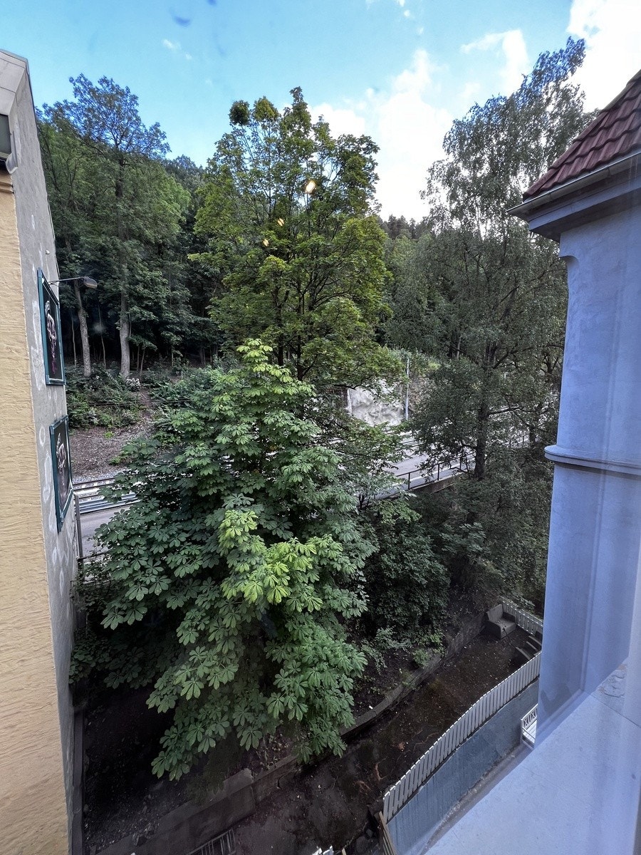 Bakgård Galleribilde