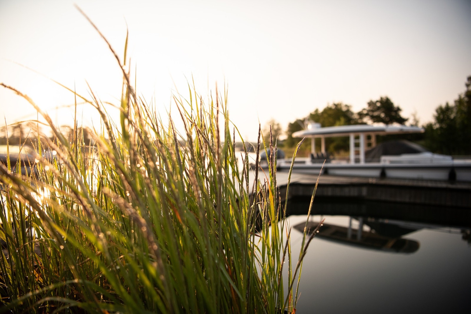 Magisk.. Galleribilde