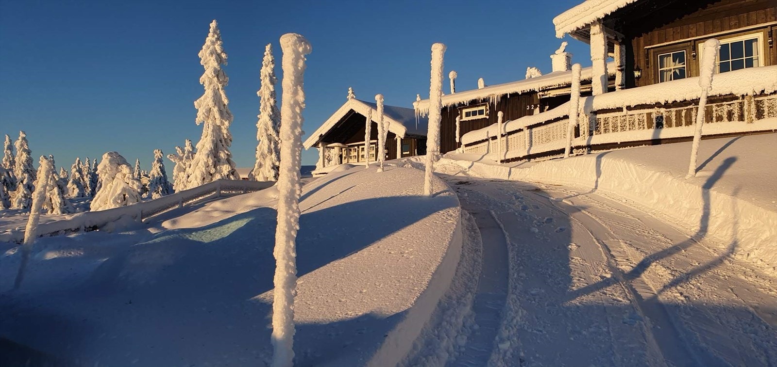 Like fint, sommer som vinter på Elgåsen. Privat foto. Galleribilde