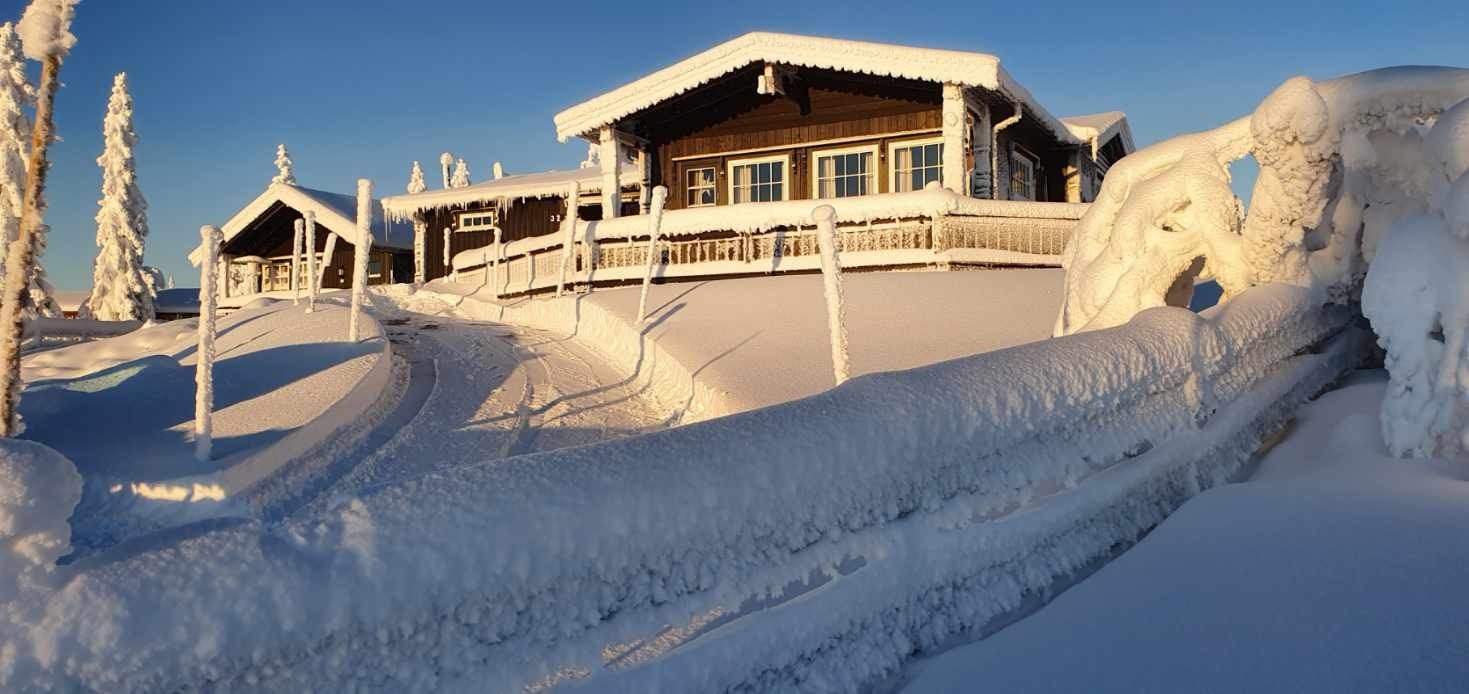 Vinterbilde av Elgåsen 32 fra selgers private arkiv. Galleribilde