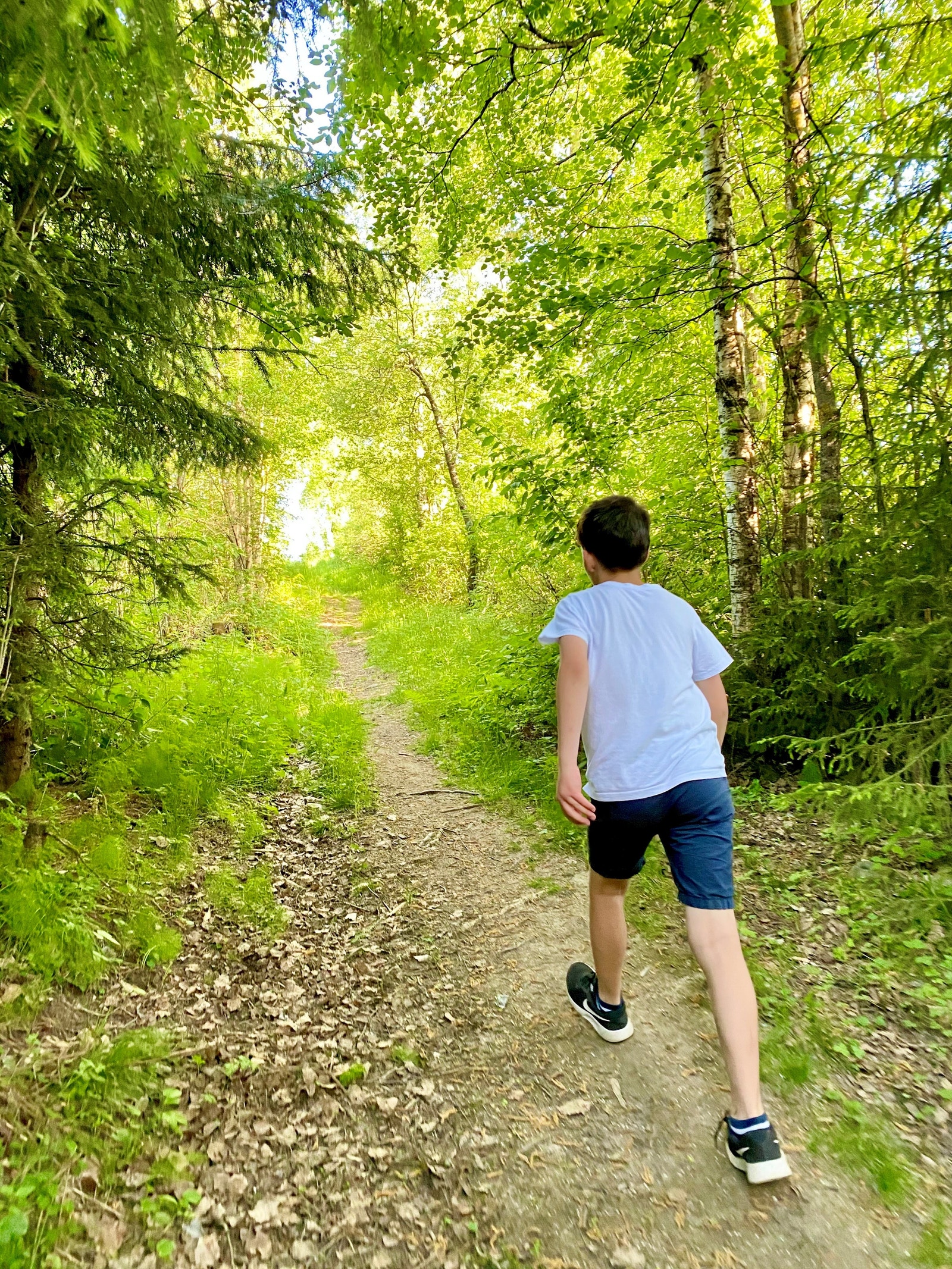 Flott turområdet like ved tomtefeltet Galleribilde
