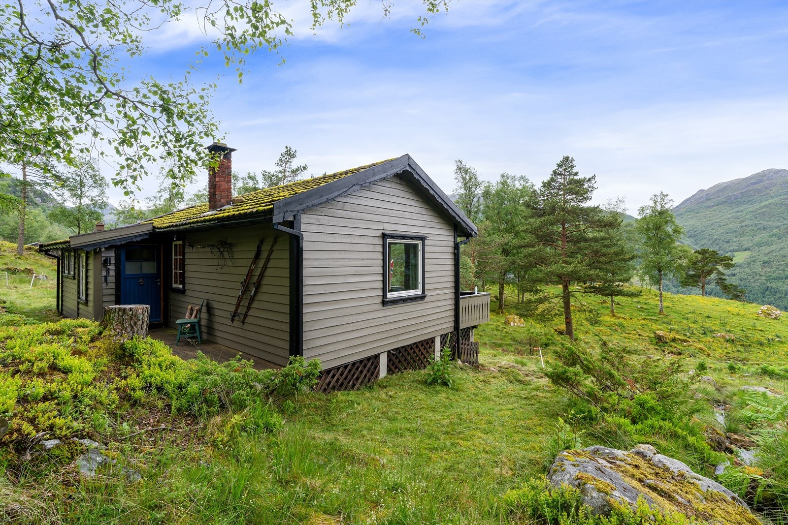Velkommen til visning! Galleribilde