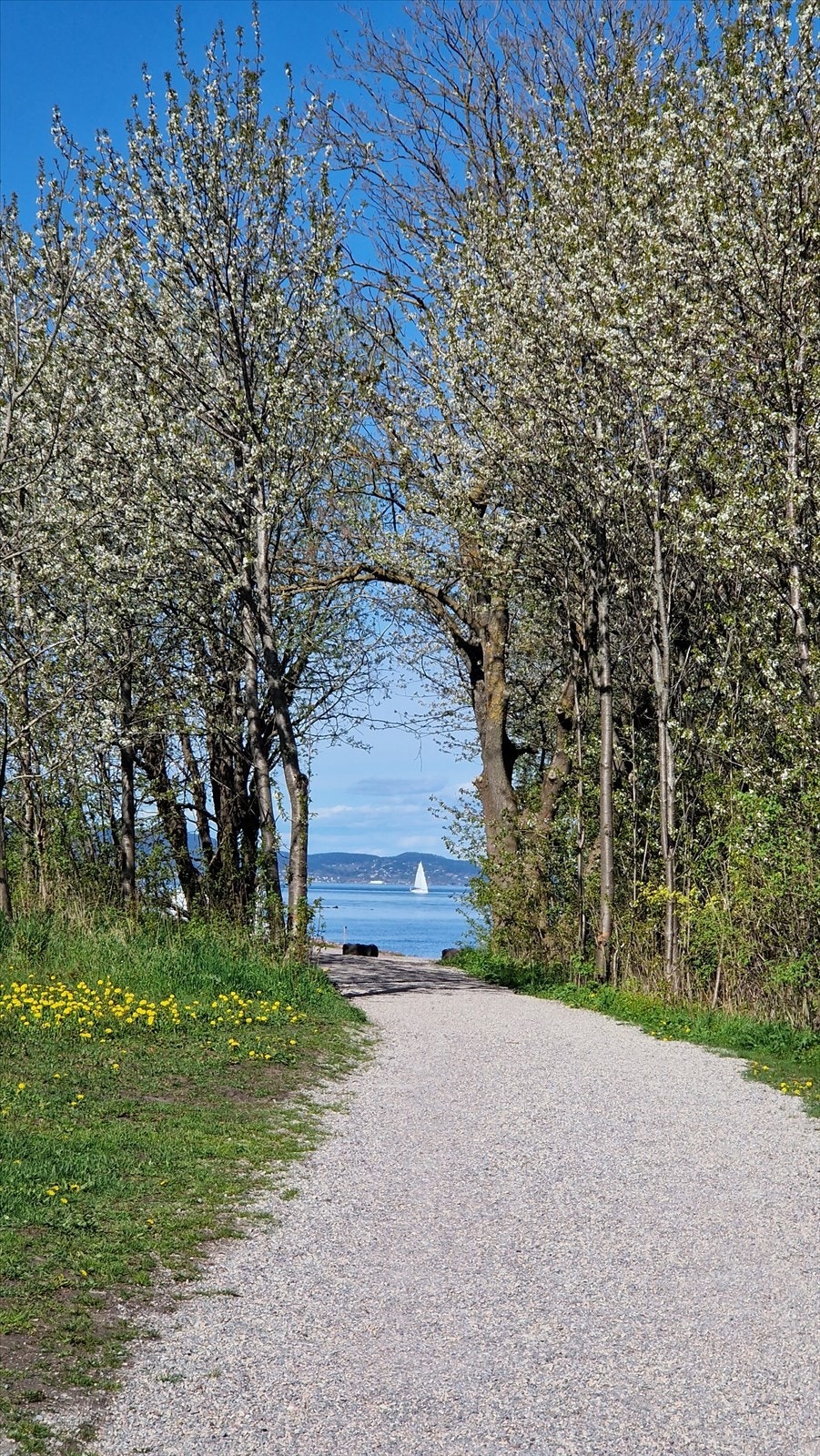 Nabolaget byr på idyllisk natur og flotte turområder. Galleribilde