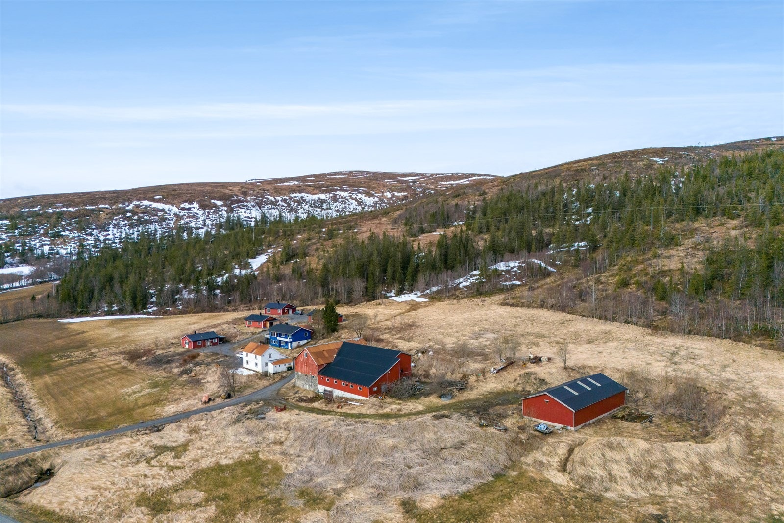 Velkommen til visning! Galleribilde