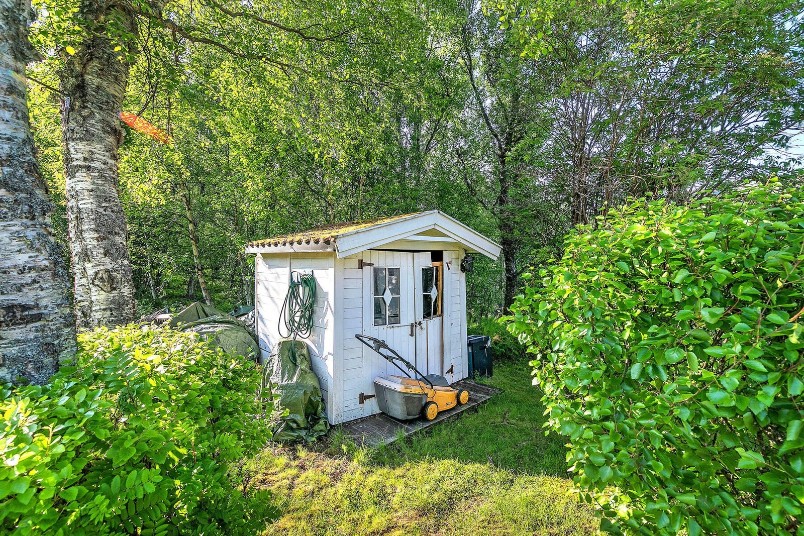 Uthus - dette trenger en del vedlikehold Galleribilde