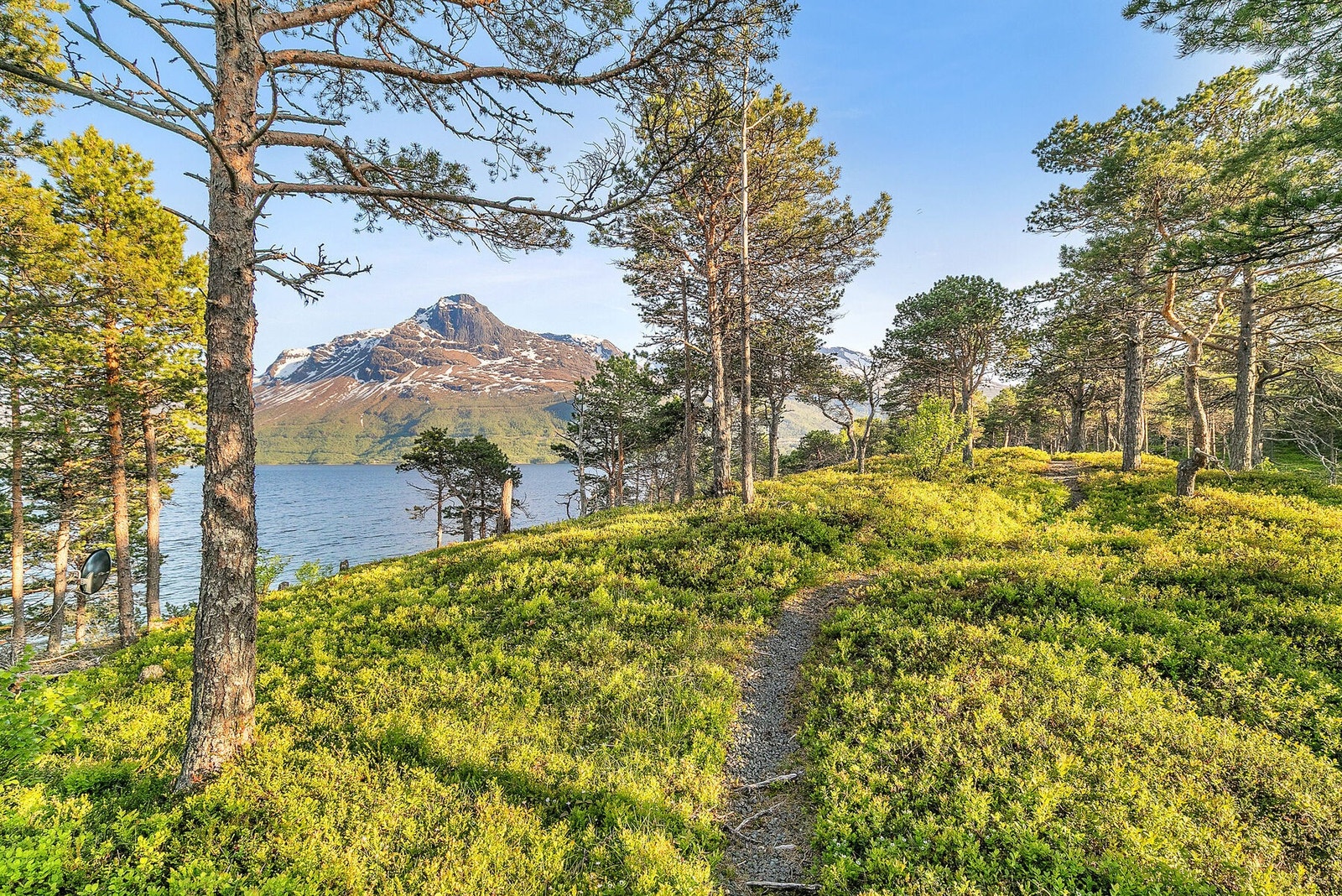 Gangsti fra parkering Galleribilde