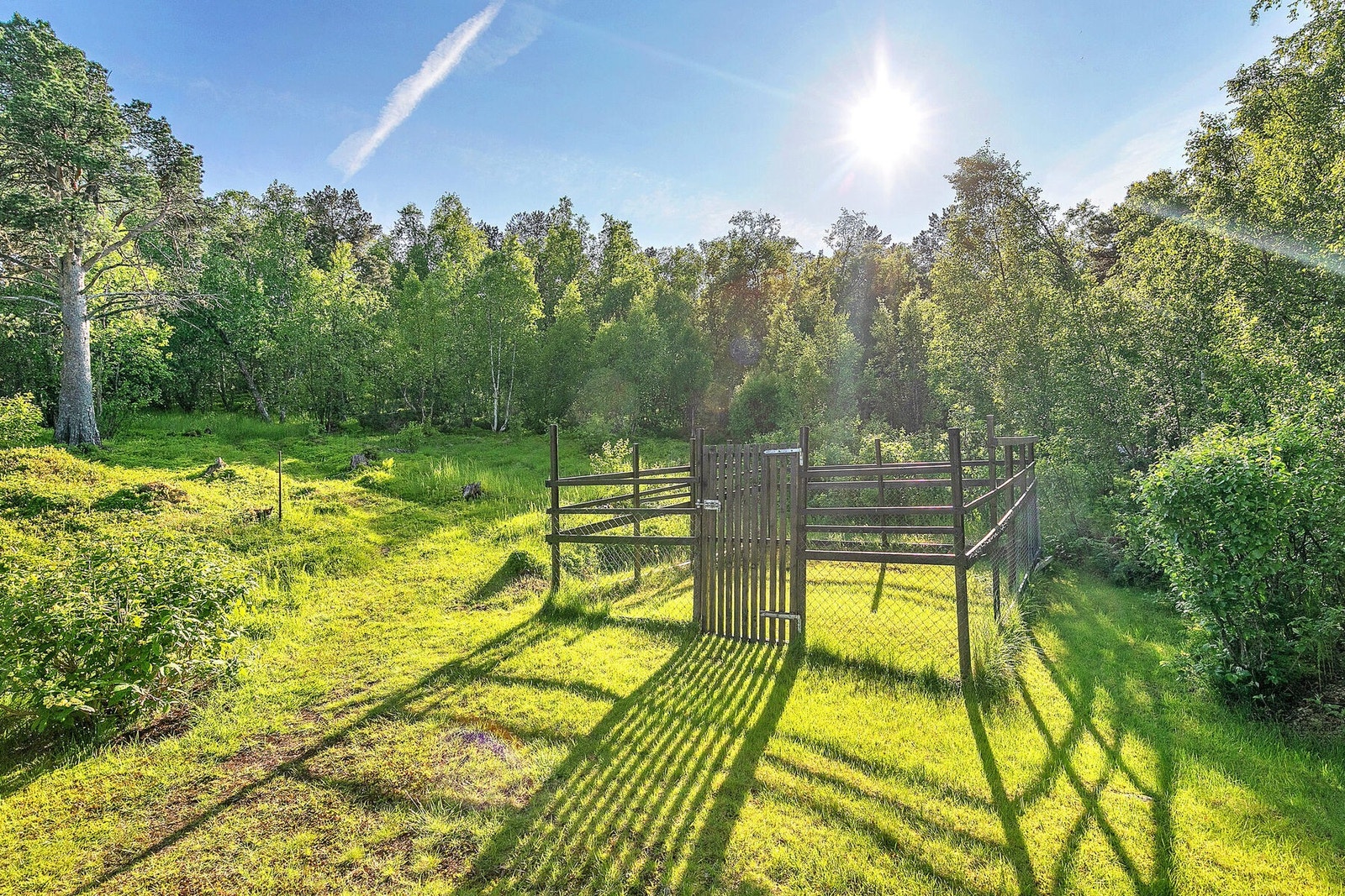 Inngjerdet gård i hage - brukt som hundegård Galleribilde