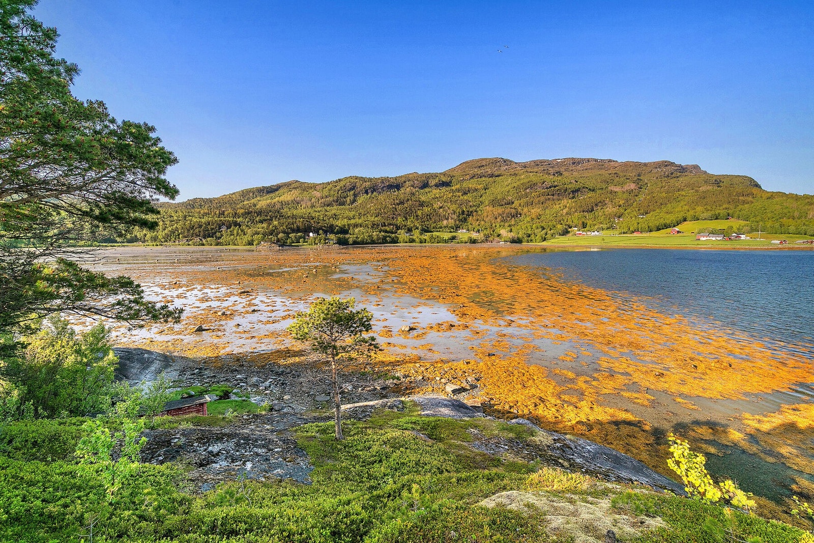 Kan går rett ned fra hytten til fjæra Galleribilde