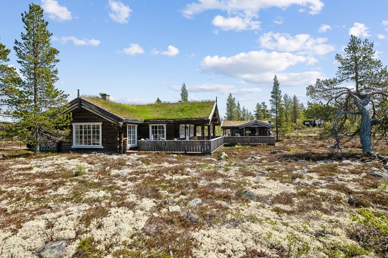 Fasade mot vest Galleribilde