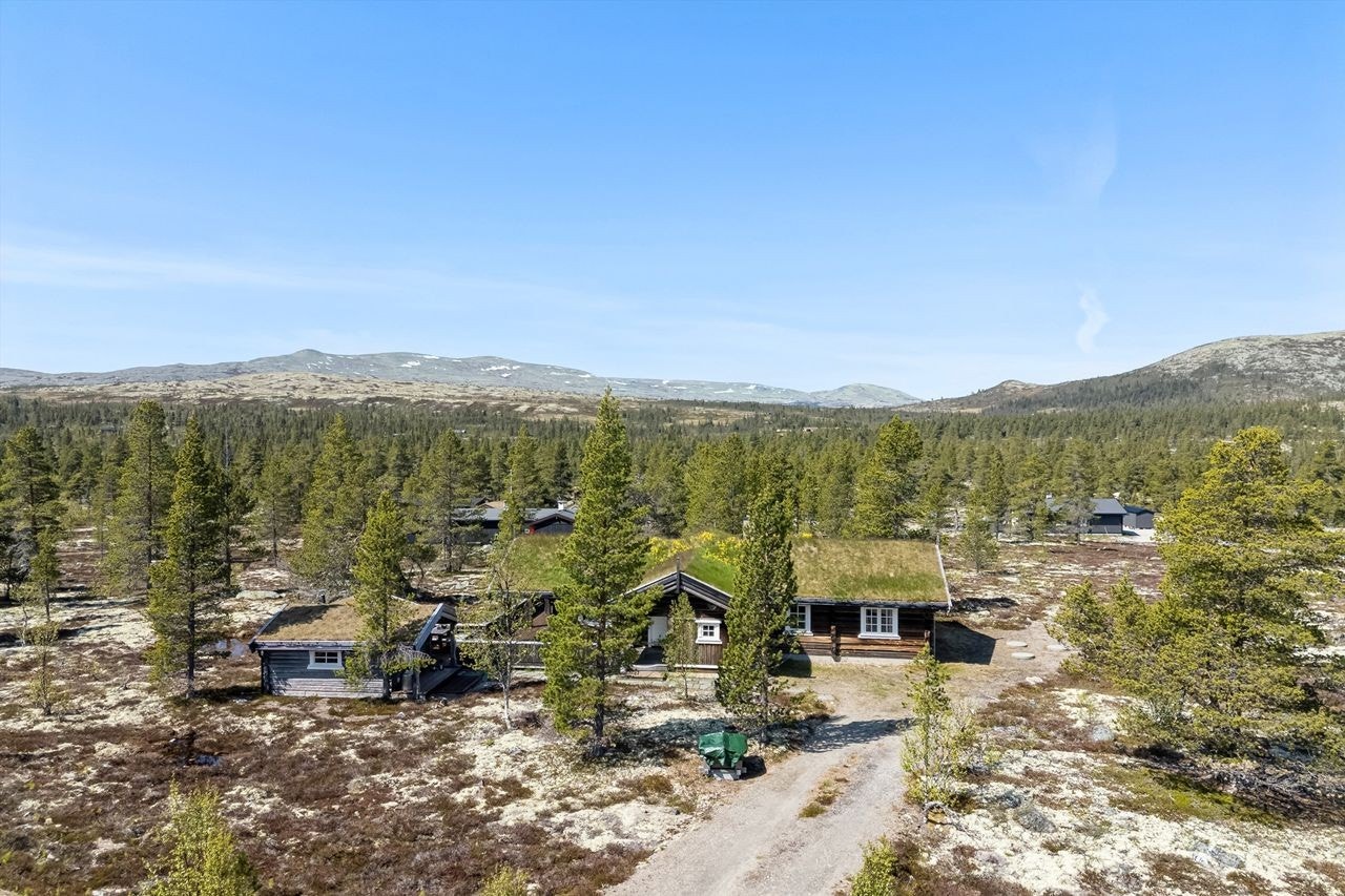 Dronebilde Galleribilde