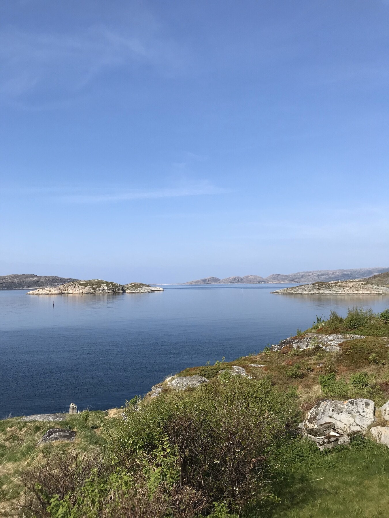 Nærområdet Galleribilde