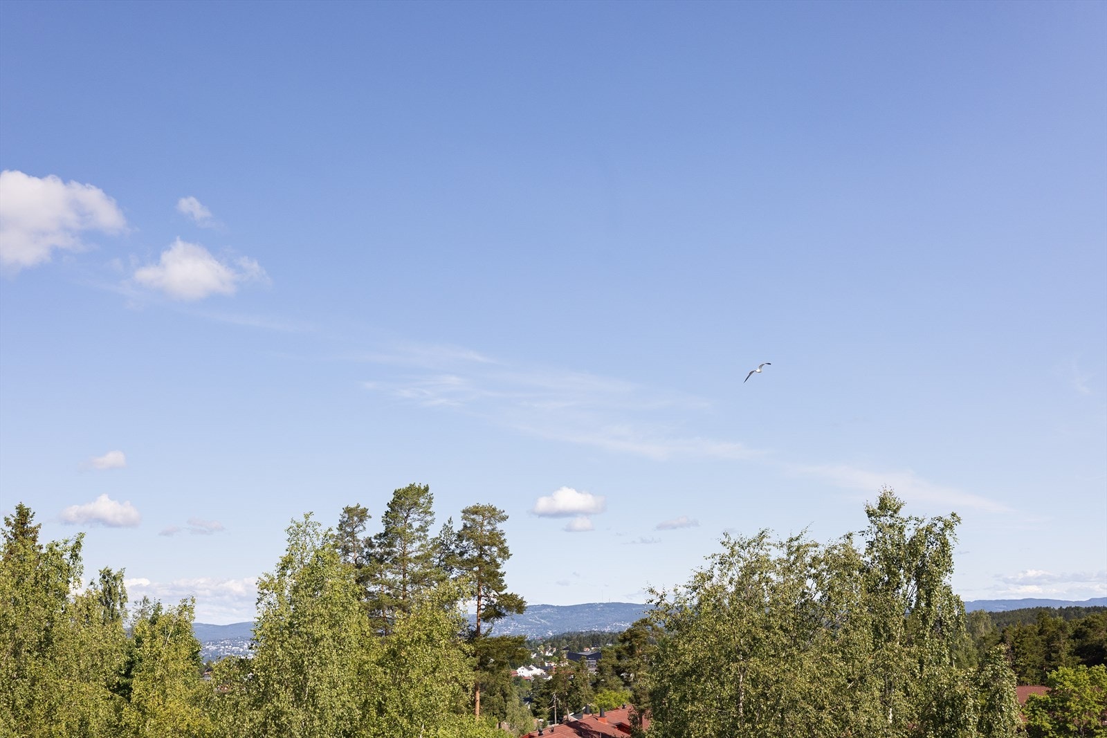 Flott utsikt fra balkongen Galleribilde