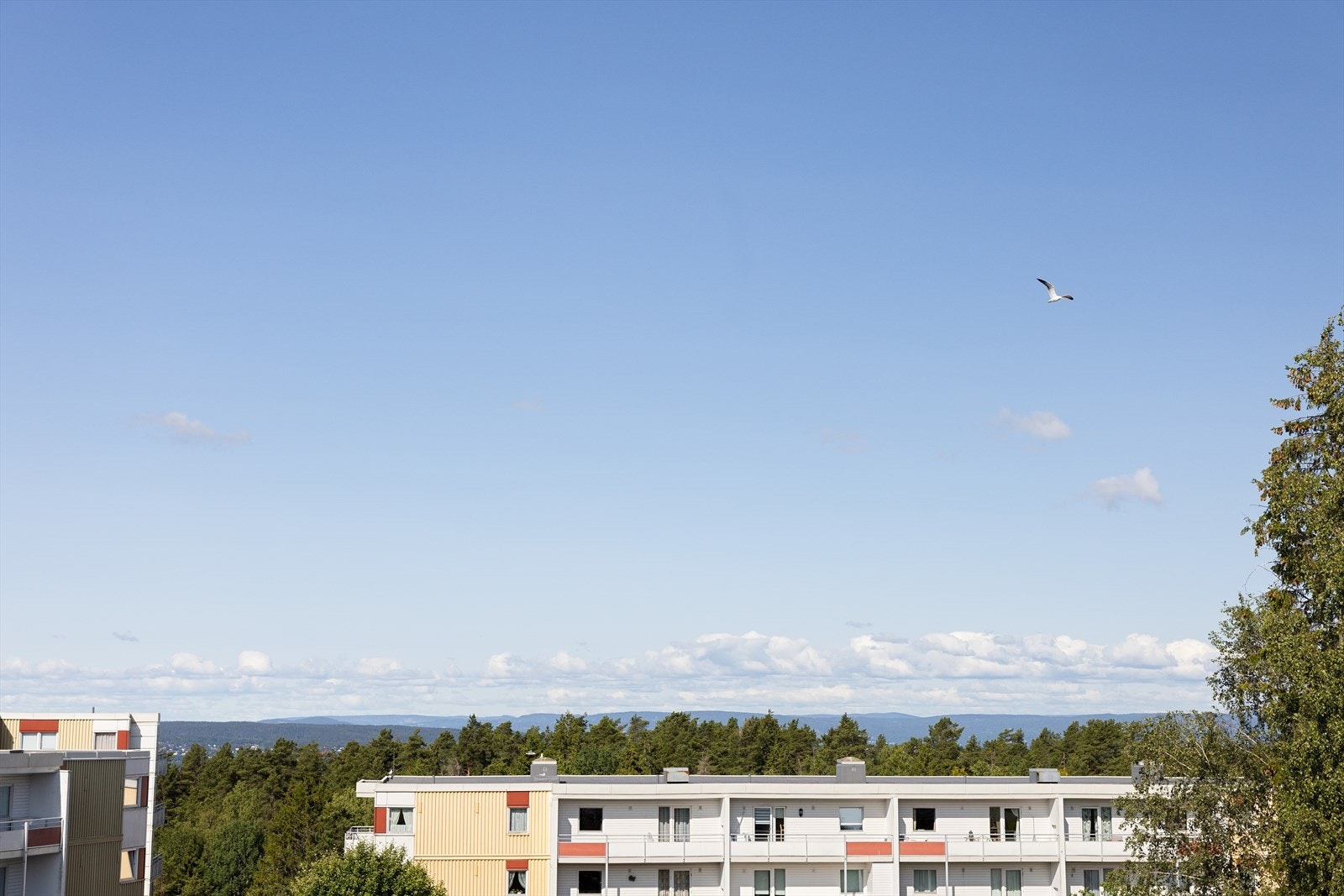 Her får kjøper gleden av fantastisk utsikt Galleribilde