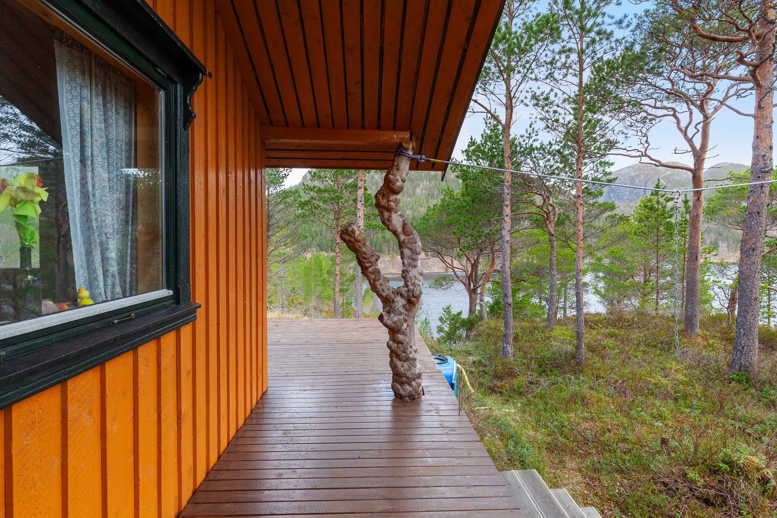 Herfra har man fin utsikt utover Blåvatnet Galleribilde