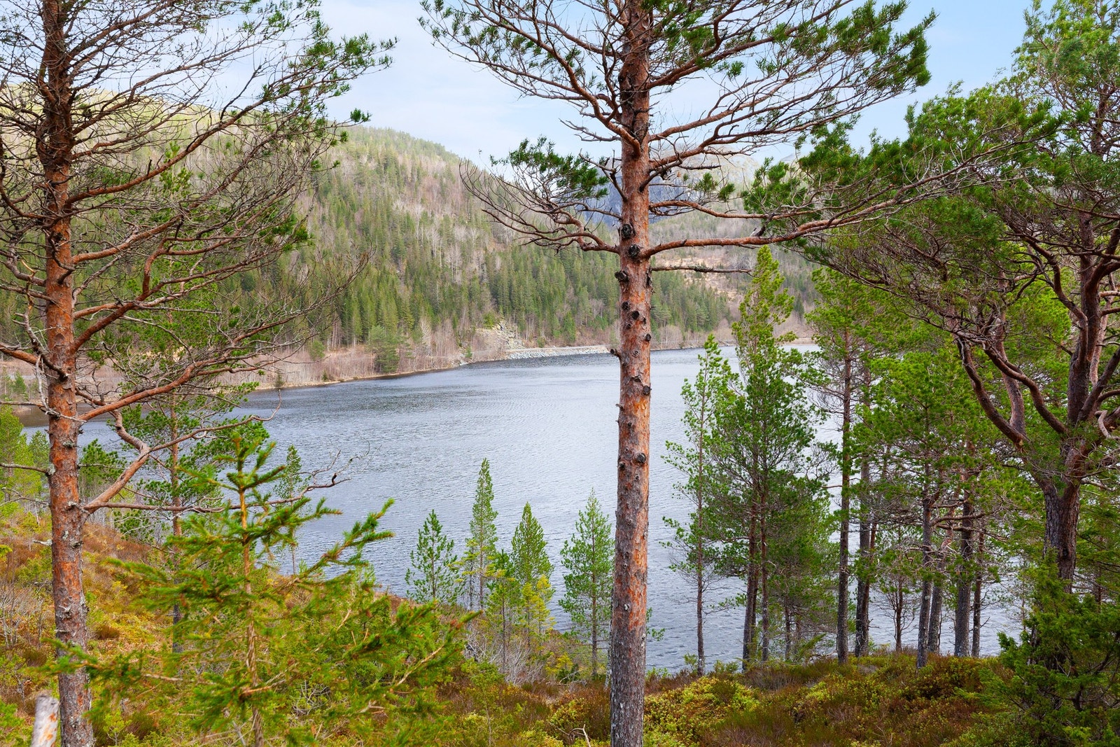 Flott utsikt! Galleribilde