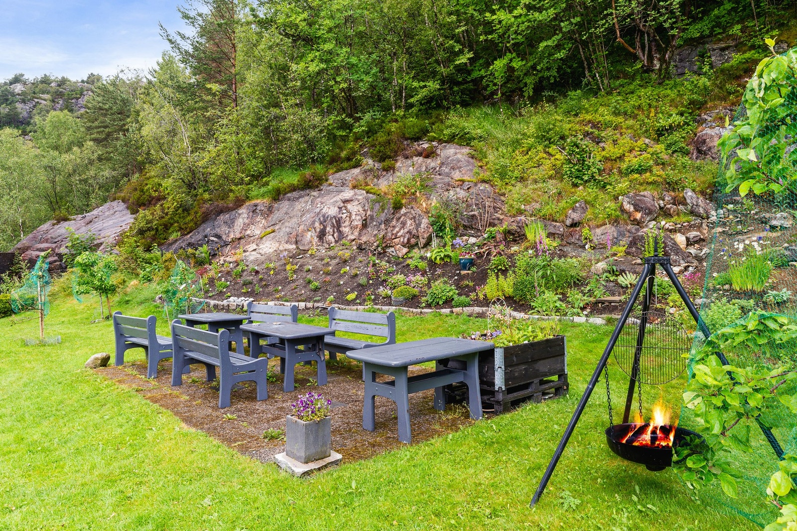 Stor tomt med pent opparbeidede fellesområder. Galleribilde